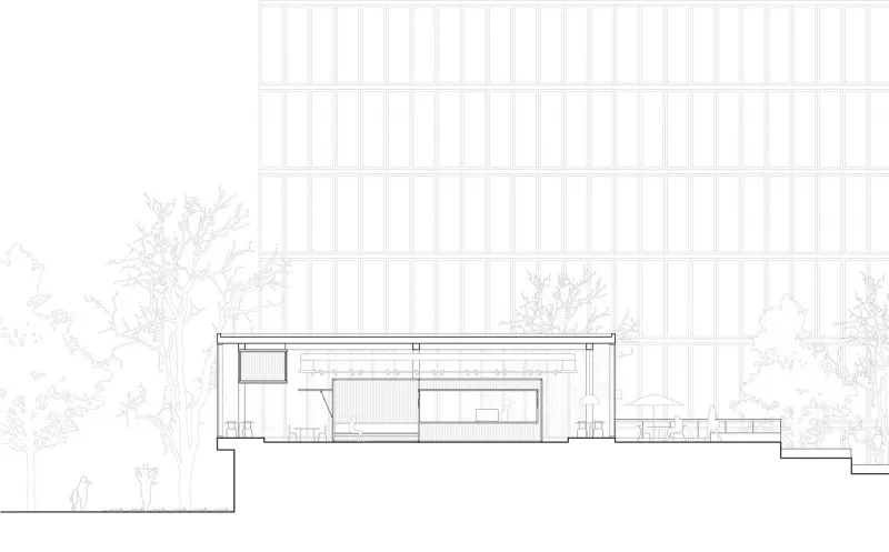 2D drawing of a modern office building's cross-section with large windows and an open floor plan.