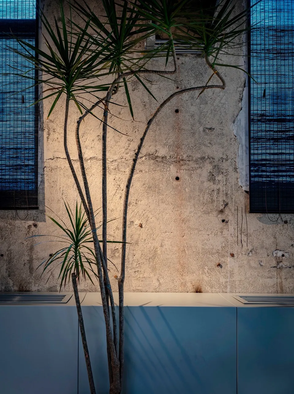 A modern industrial office with concrete walls and plants