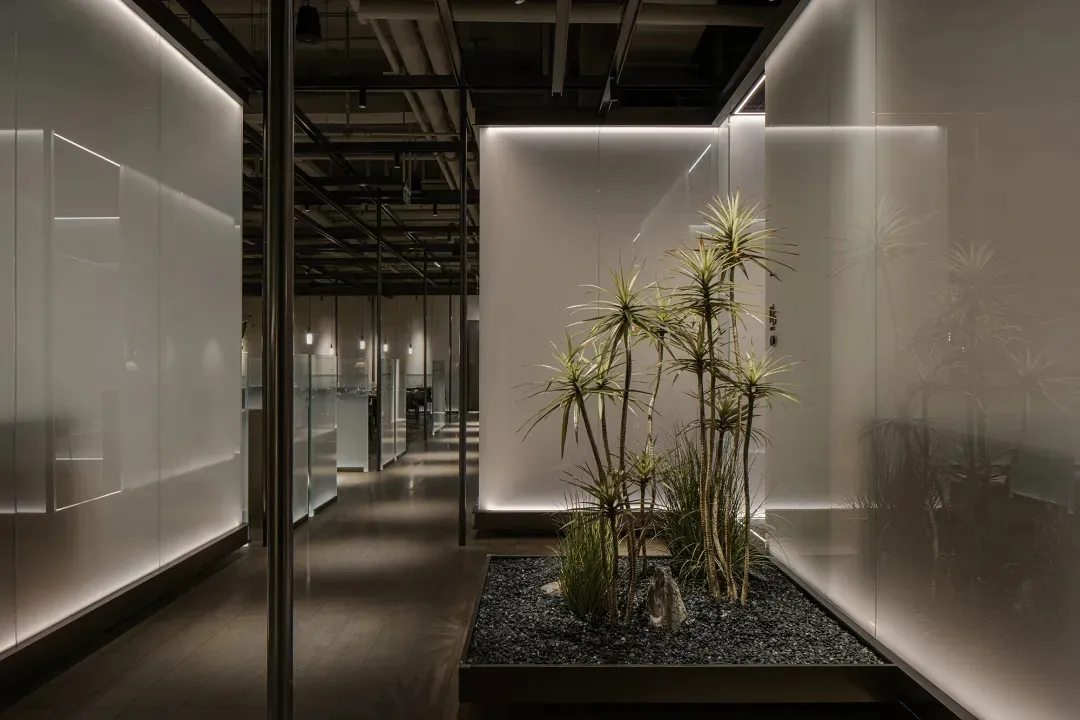 A minimalist corridor featuring glass planters with greenery, set against a neutral background.