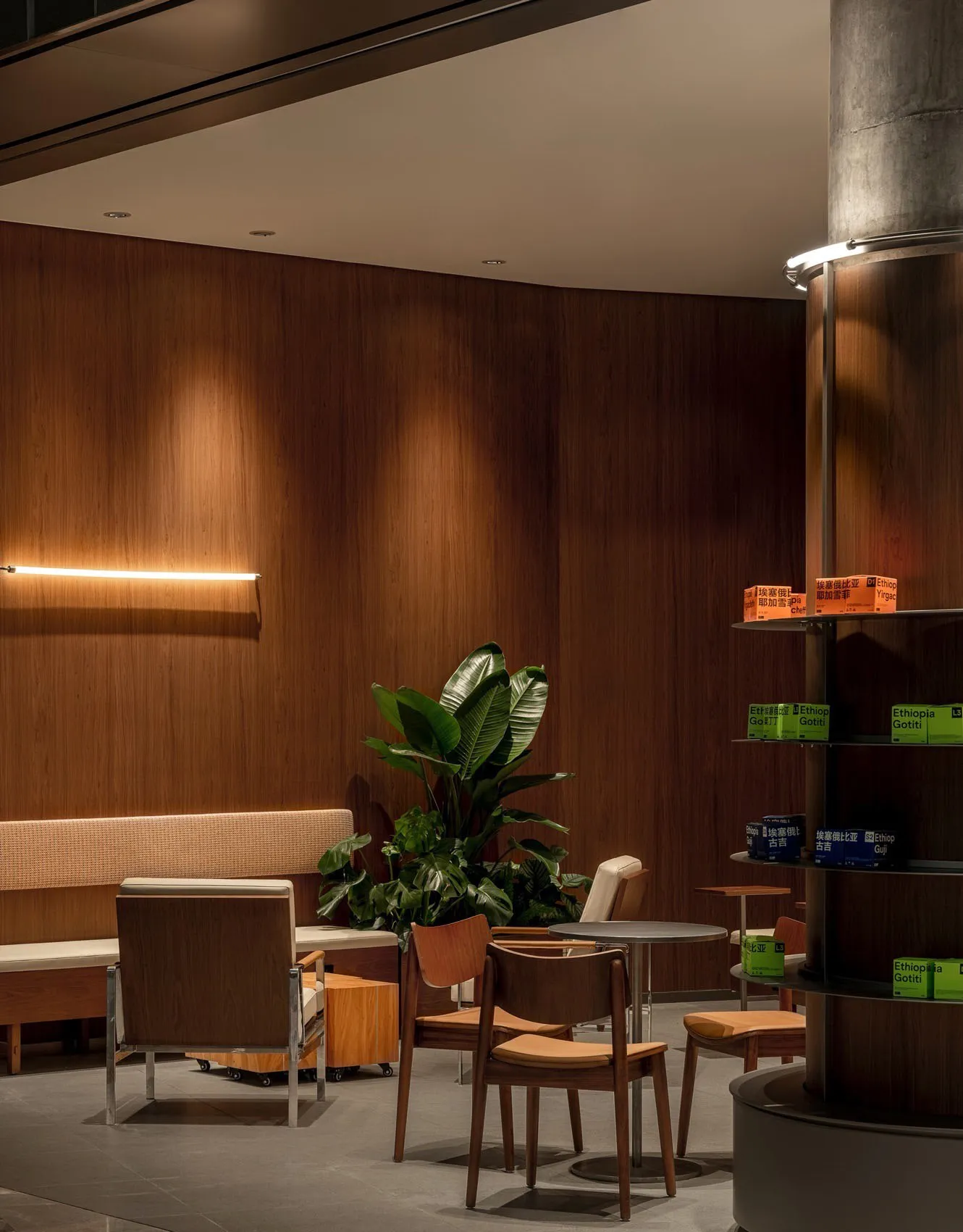 A cozy coffee shop with wooden walls and furniture, ambient lighting, and green plants