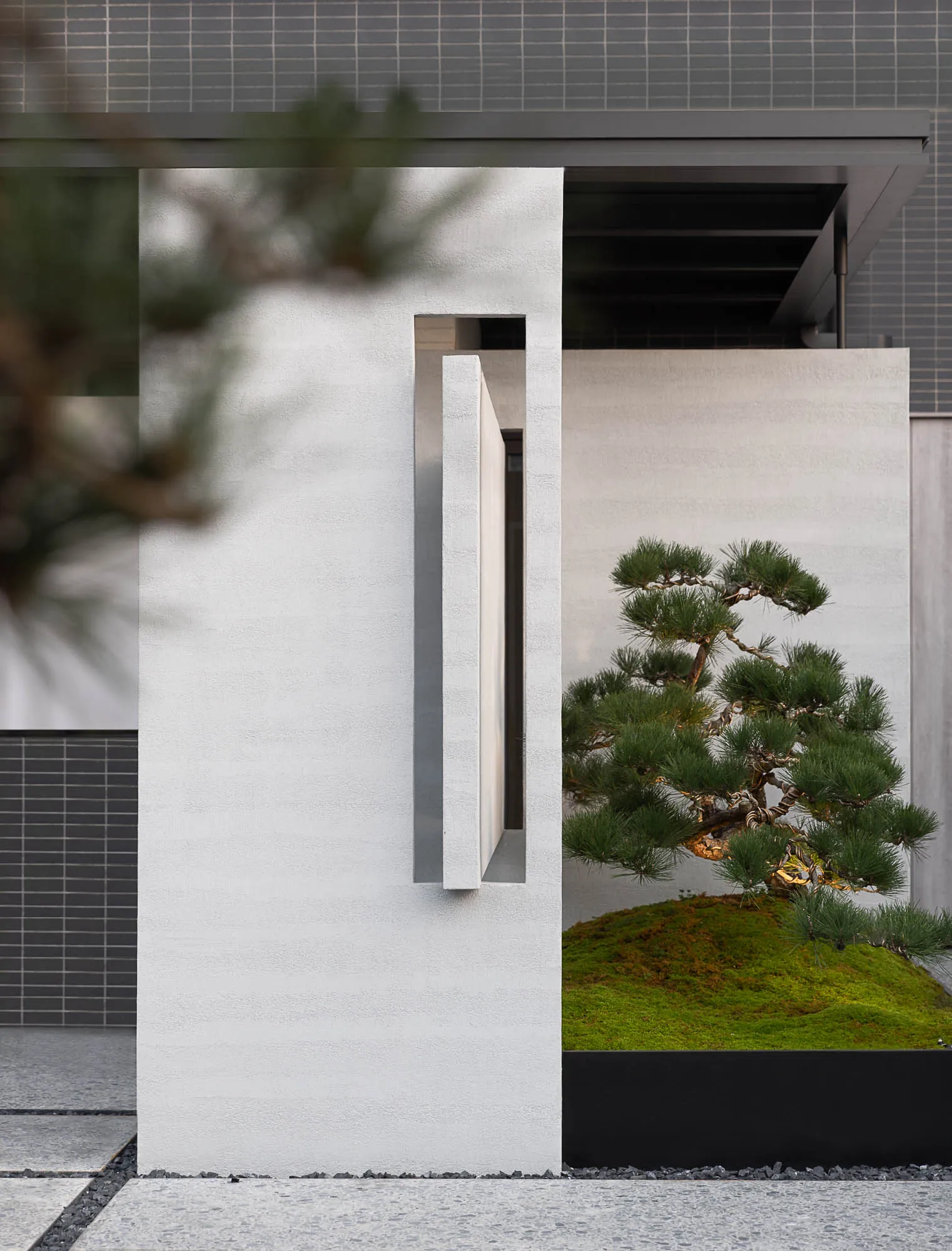 A modern minimalist outdoor space featuring concrete elements with a bonsai tree in a planter. Semicircular walls and curved