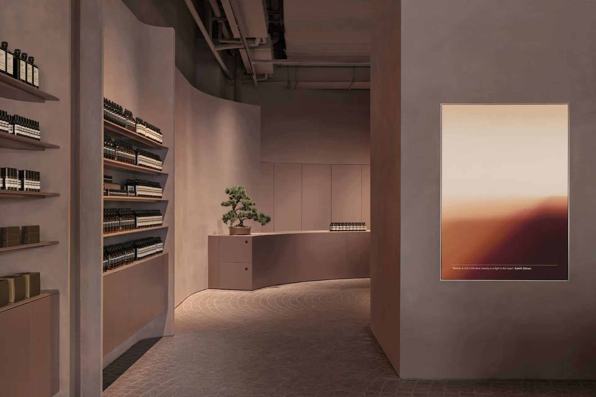 Modern retail shop featuring minimalist design and concrete interior.