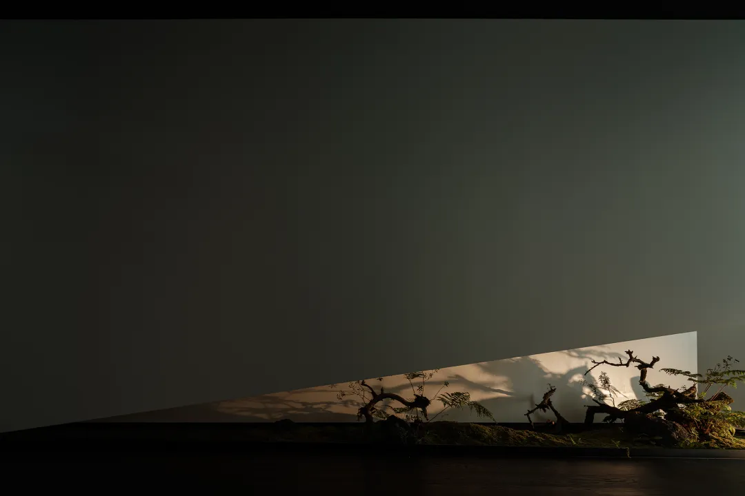 Minimalist indoor setting with plants