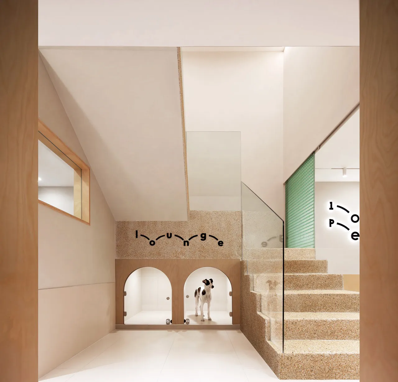 A modern indoor space designed for dogs, featuring concrete walls and an open, airy design.