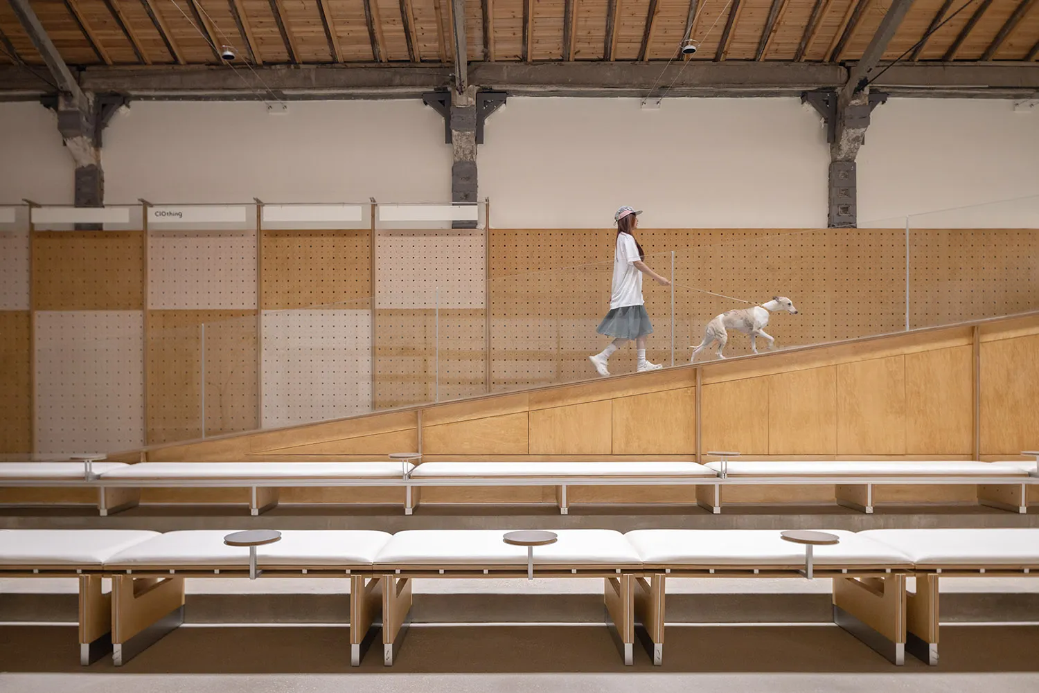 Person walking a brown and white dog on a walkway with wooden walls and concrete floor.