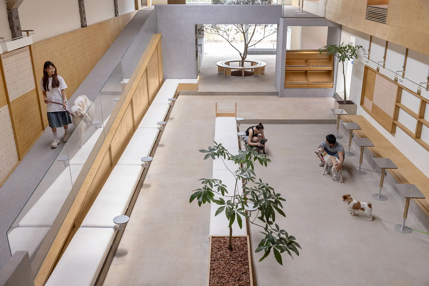People interacting with dogs in a modern, minimalist public space with concrete flooring.