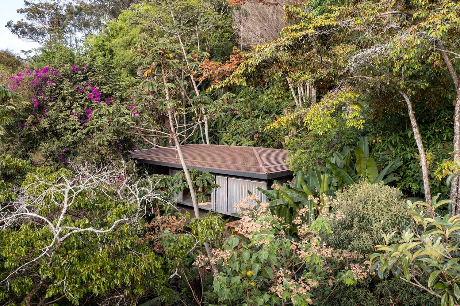 A modern treehouse built from wood amidst a dense forest