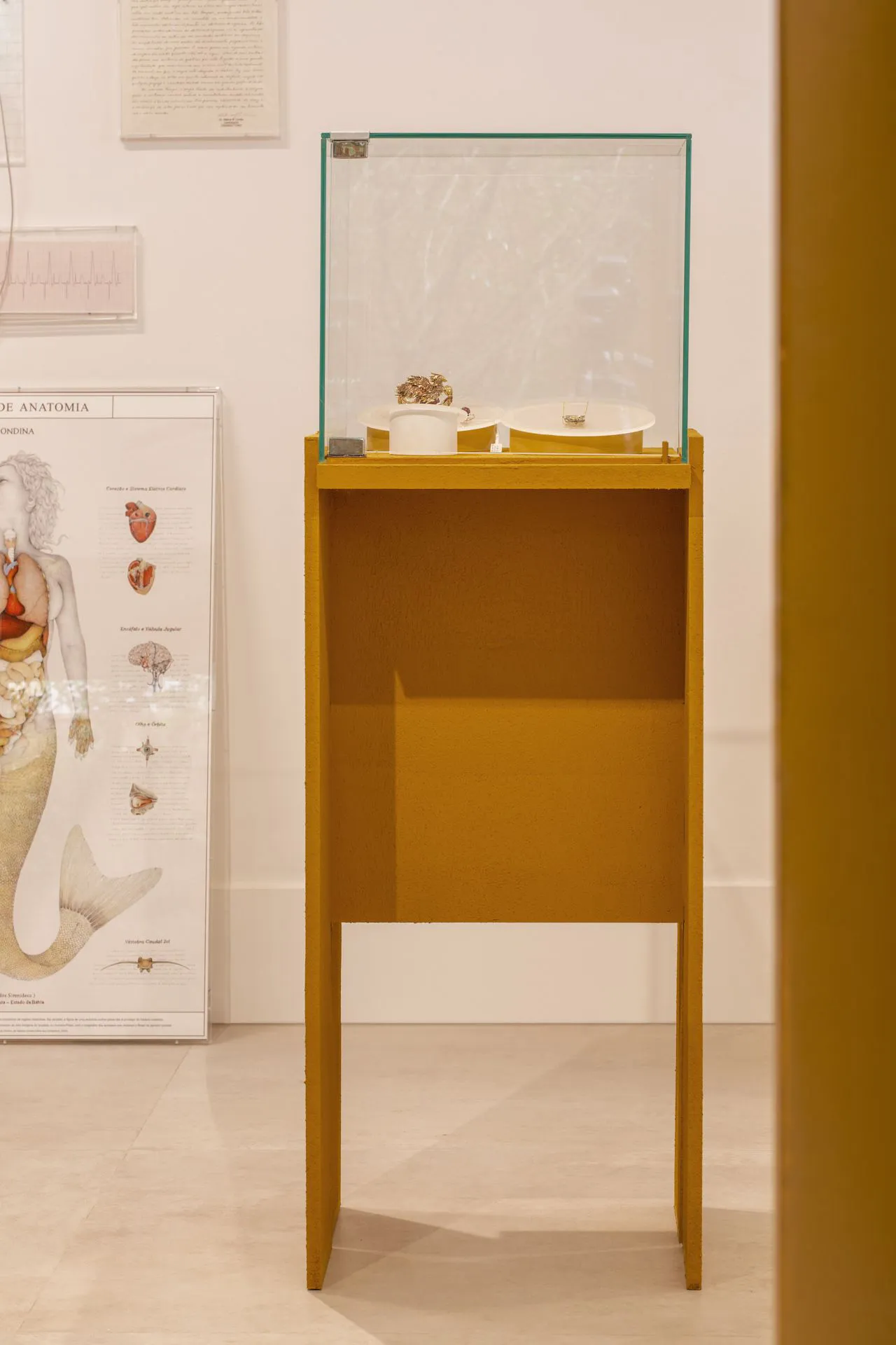 A yellow-painted wooden pedestal with a glass top, featuring an exhibit display case with small objects.