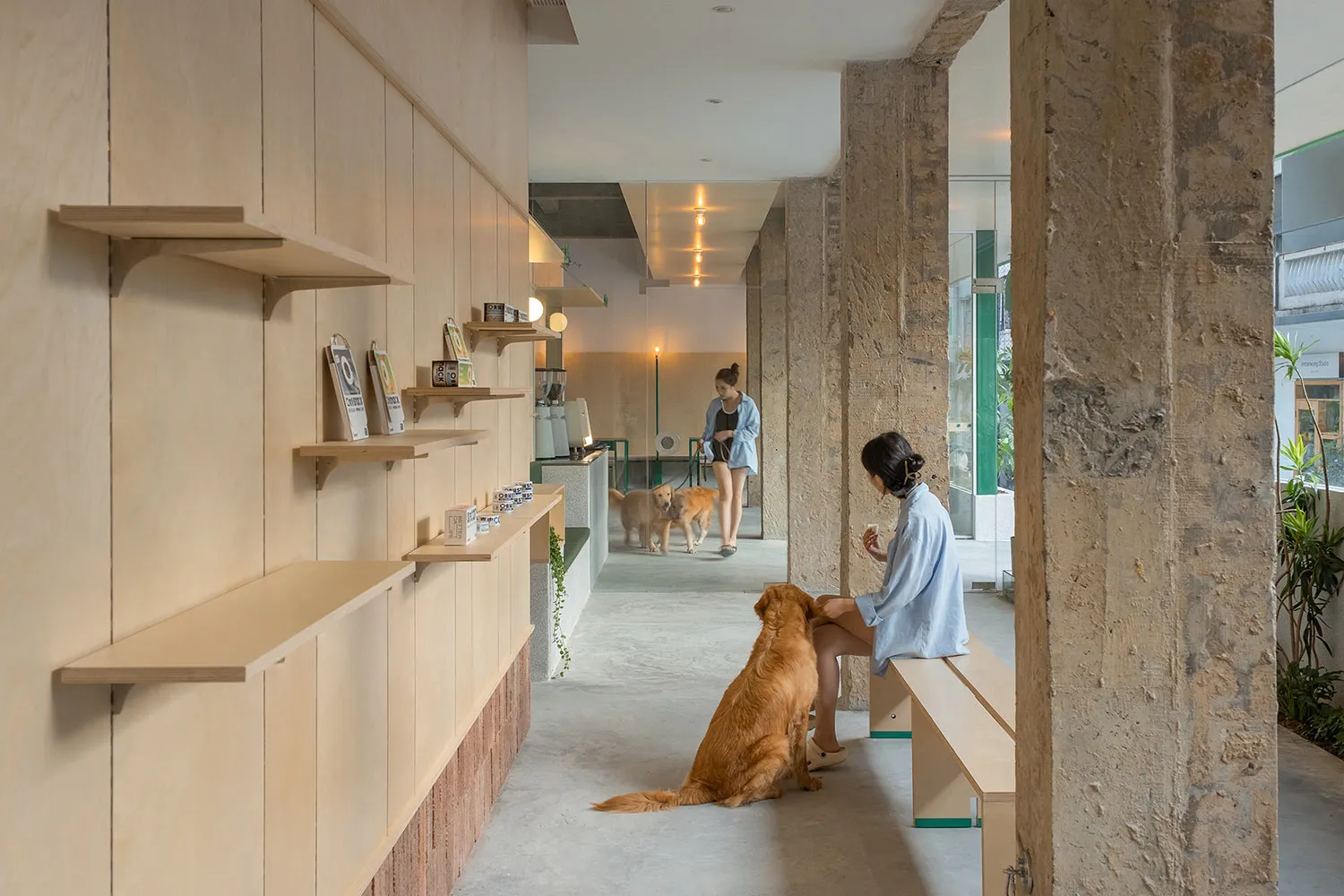 A cozy dog cafe with wooden shelves, concrete columns, and two dogs sitting next to a woman.