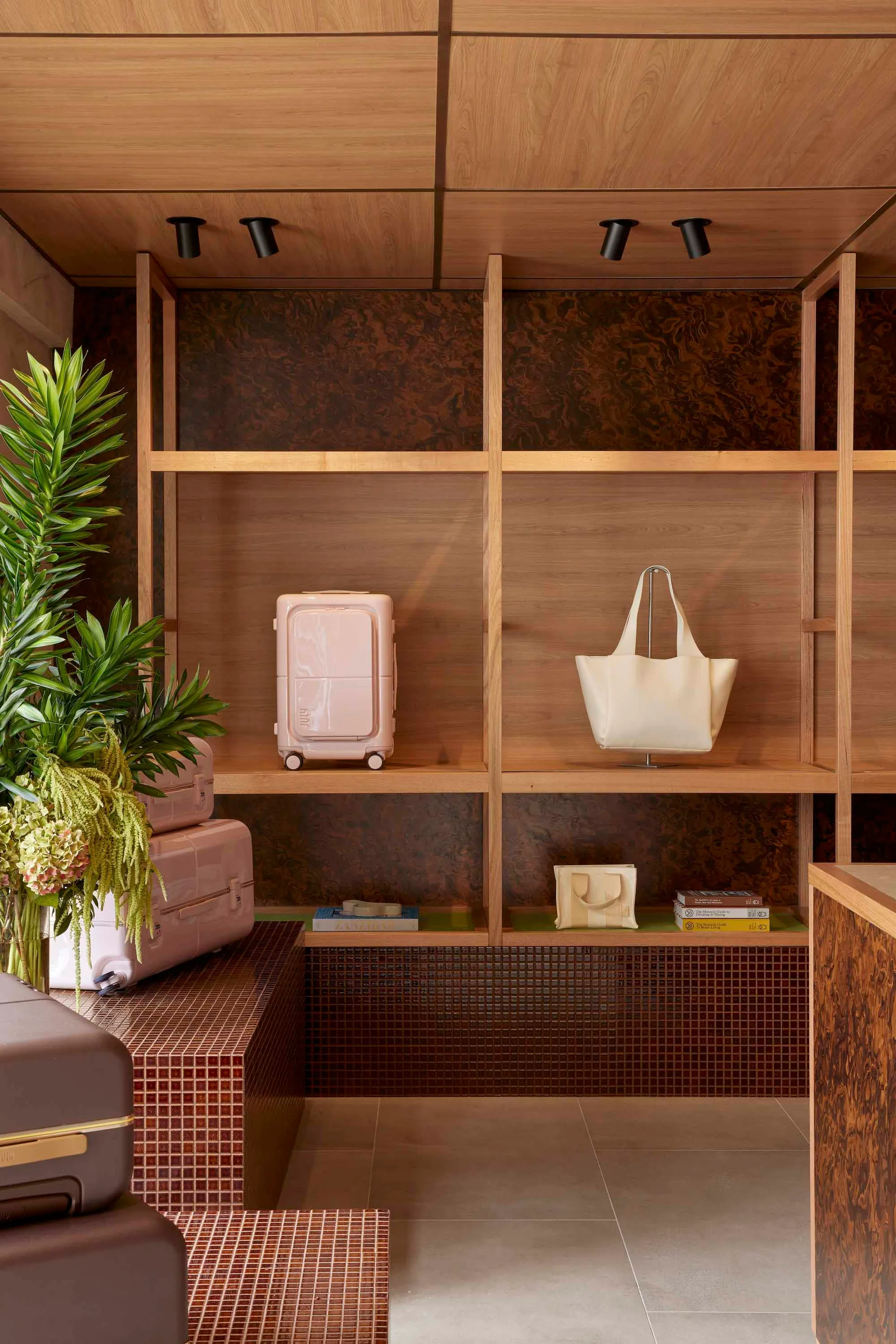 Modern entryway featuring wooden shelves, suitcases, and a green plant.