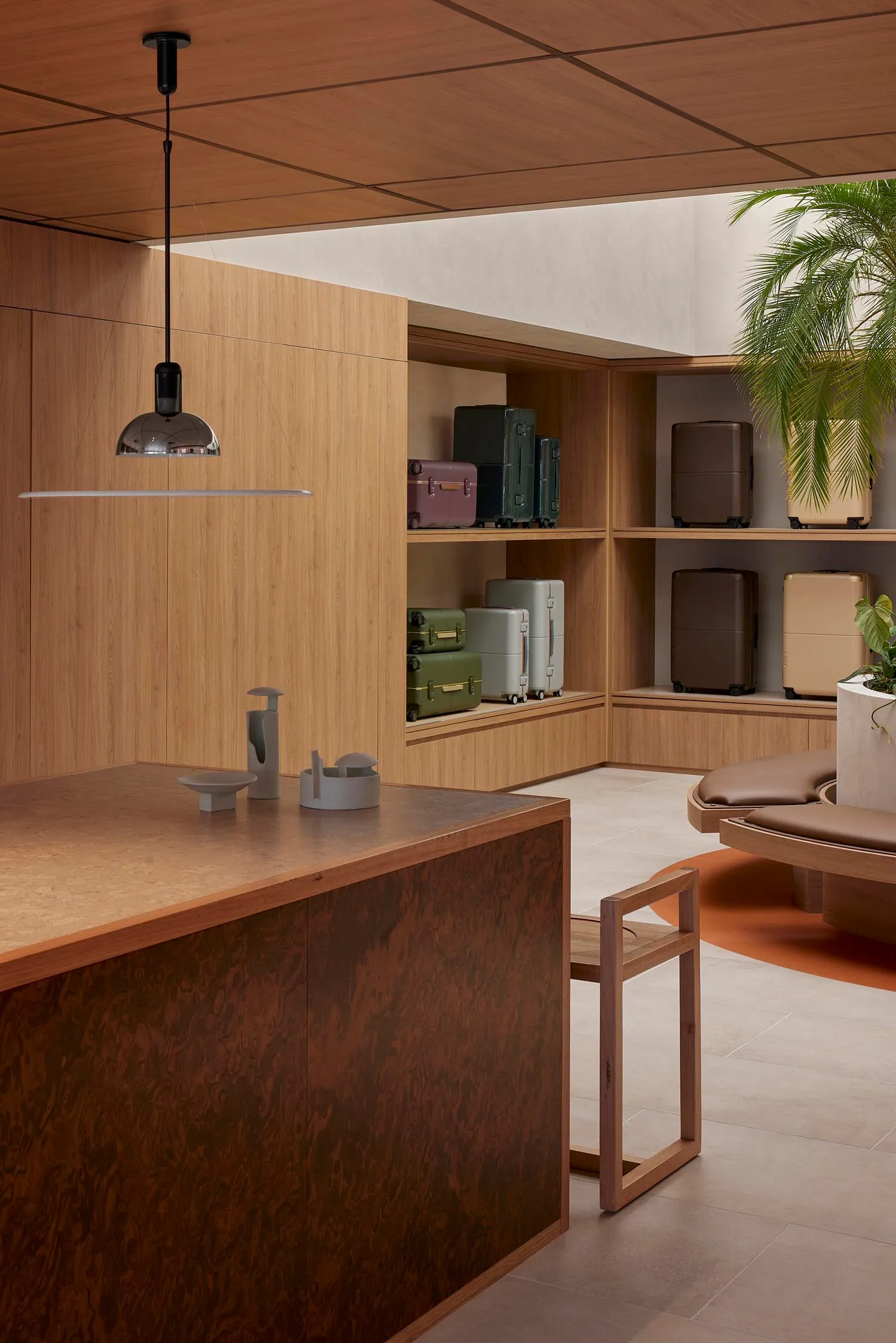 Modern retail showroom with wooden shelves displaying colorful suitcases, surrounded by wooden furniture and greenery.