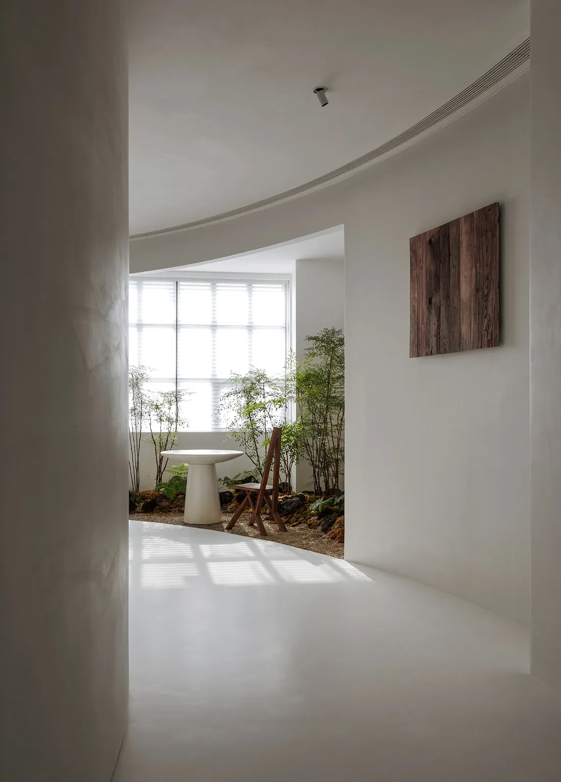 A minimalist white interior with curved space, featuring modern furniture and plants in a small garden.