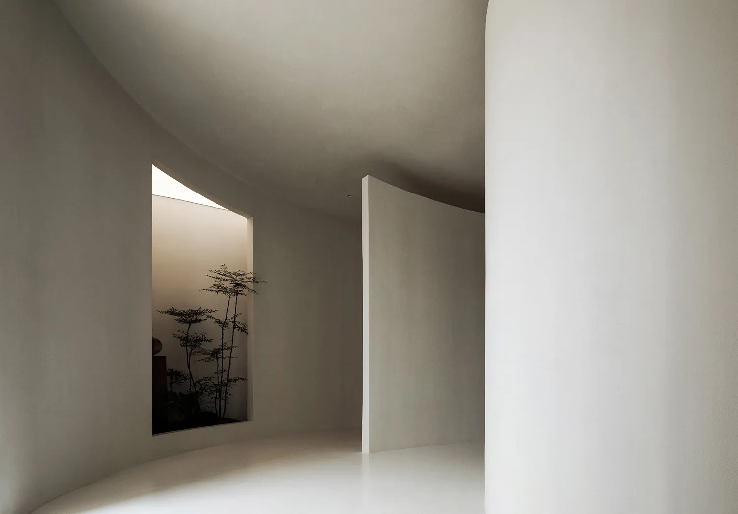 Modern minimalist interior design featuring white curved walls and floor-to-ceiling windows.