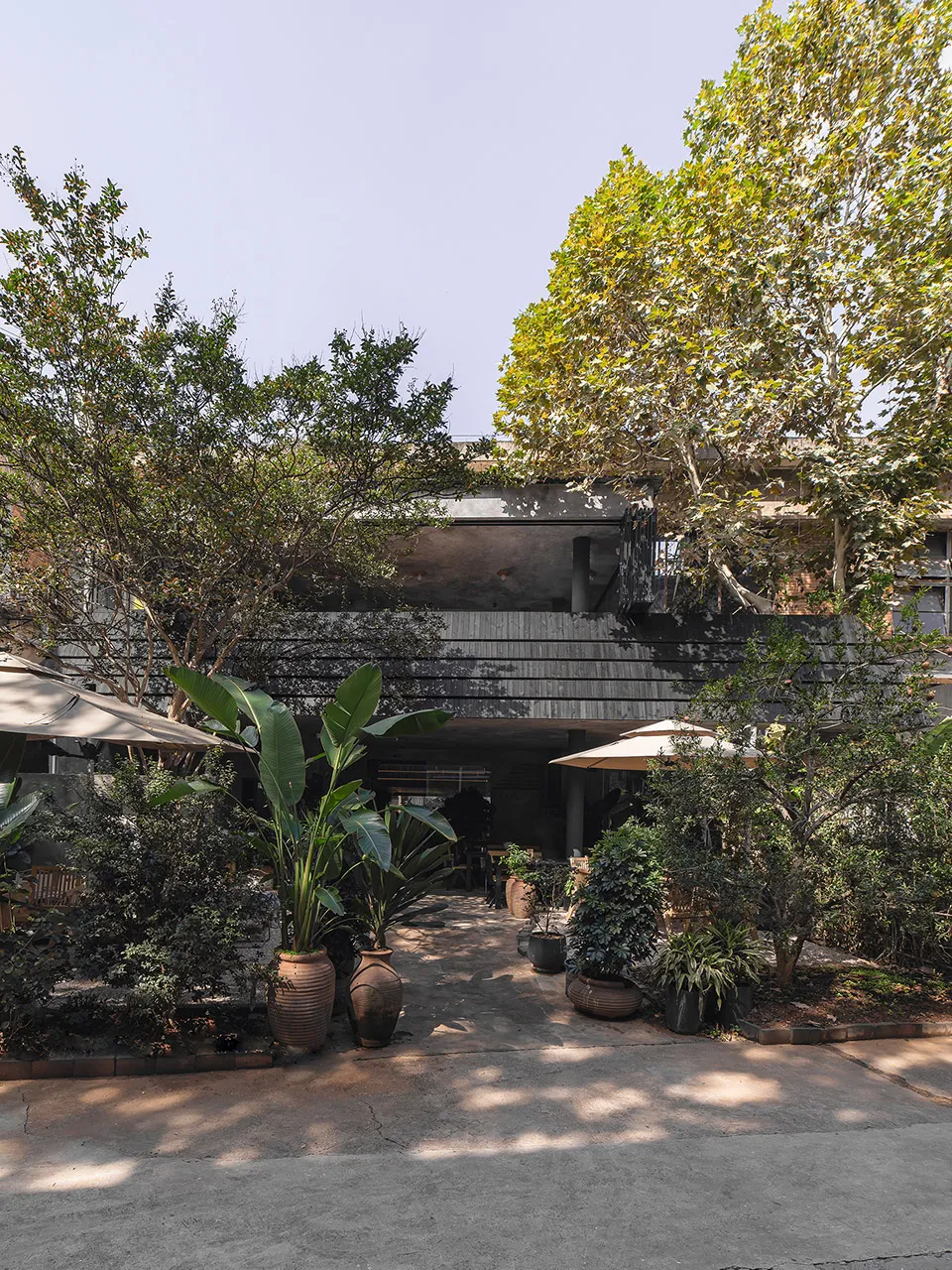 A modern exterior architectural design featuring concrete structures and lush green plants.