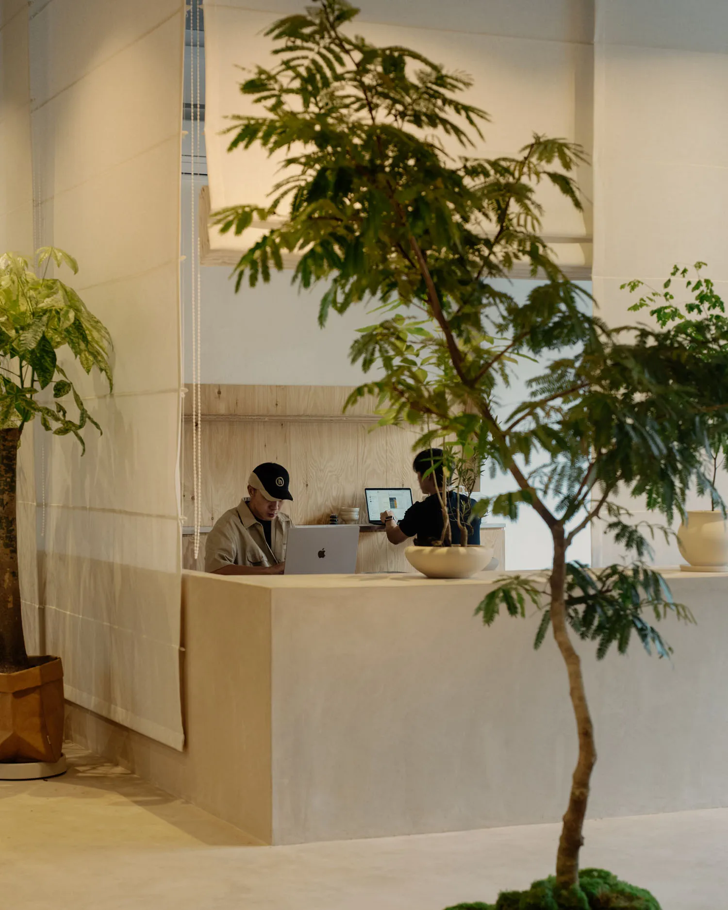 Minimalist workspace featuring concrete and wood elements.
