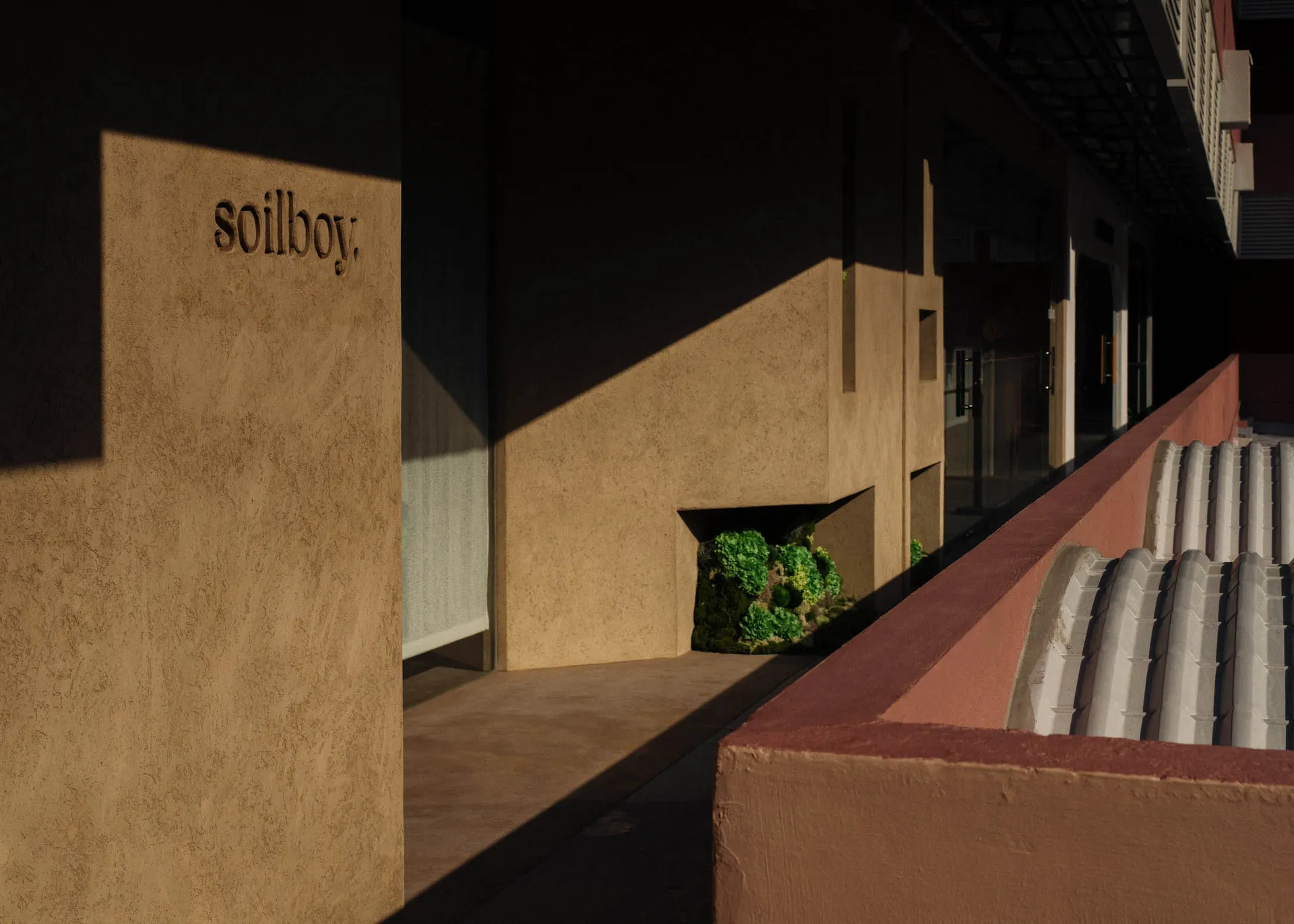 Concrete storefront entrance with a green plant in a small niche.