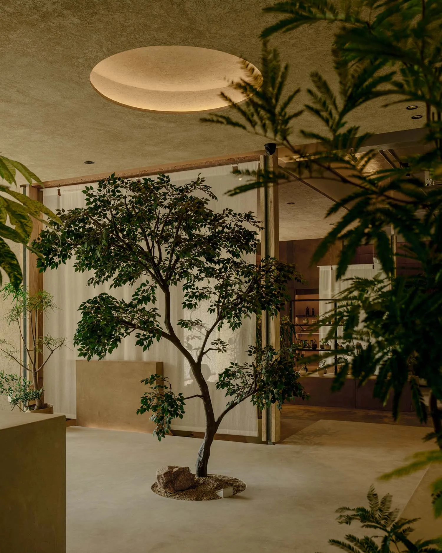 A minimalist spa interior with wooden elements and green plants.