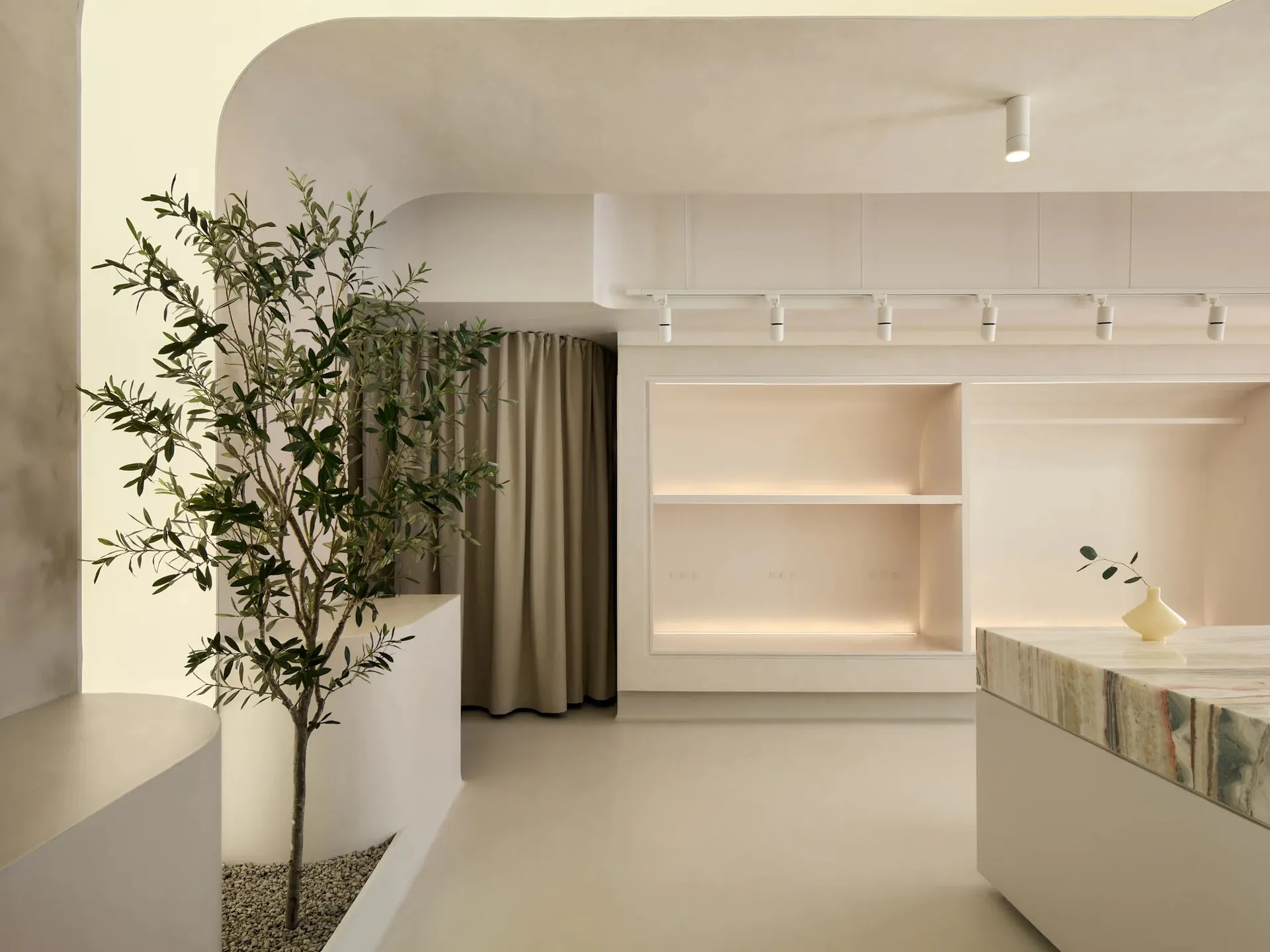 A minimalist storefront with white concrete walls and a small tree inside a planter.