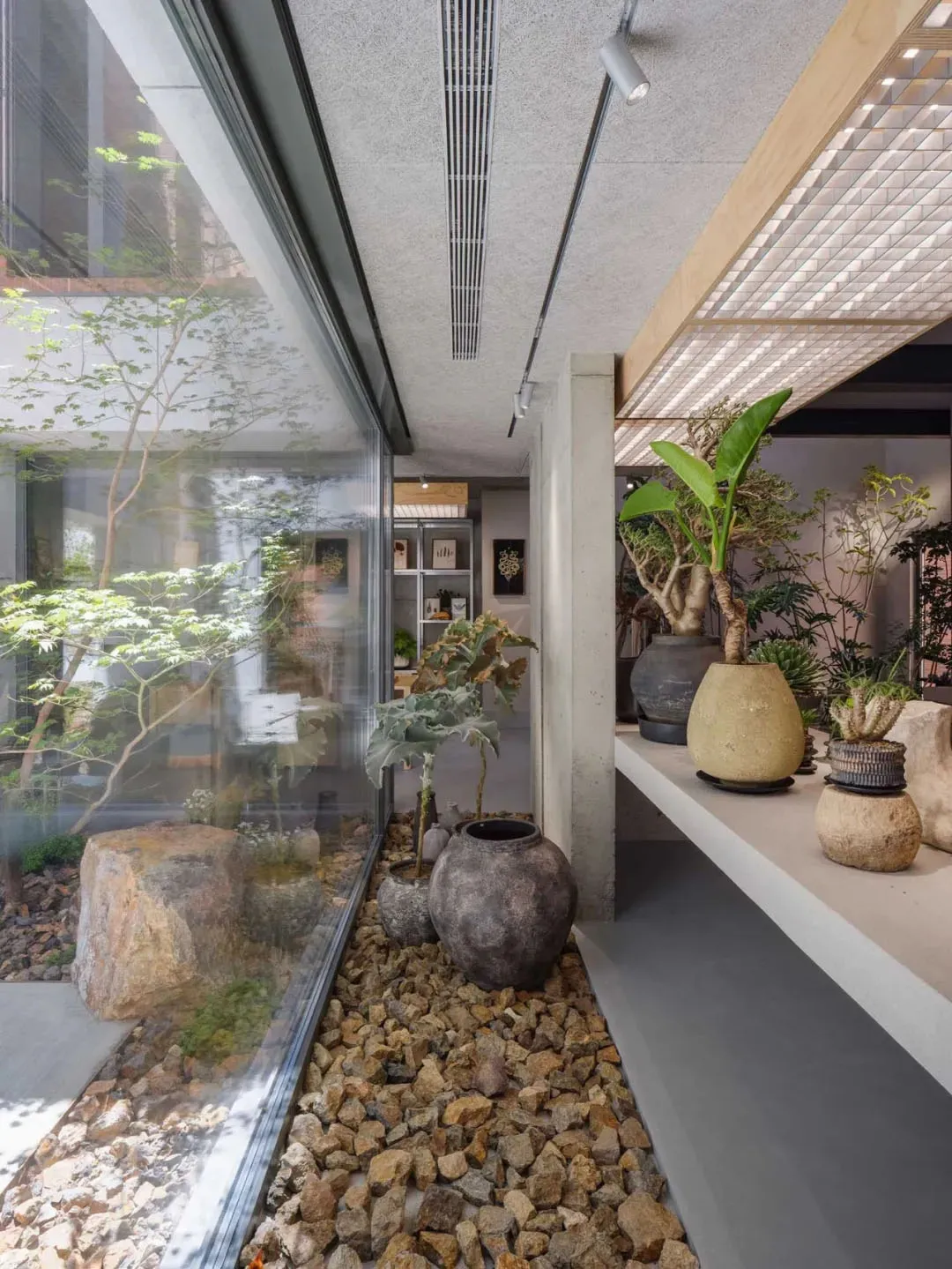 A modern living room featuring polished concrete flooring, rock garden, and various potted plants in decorative containers.