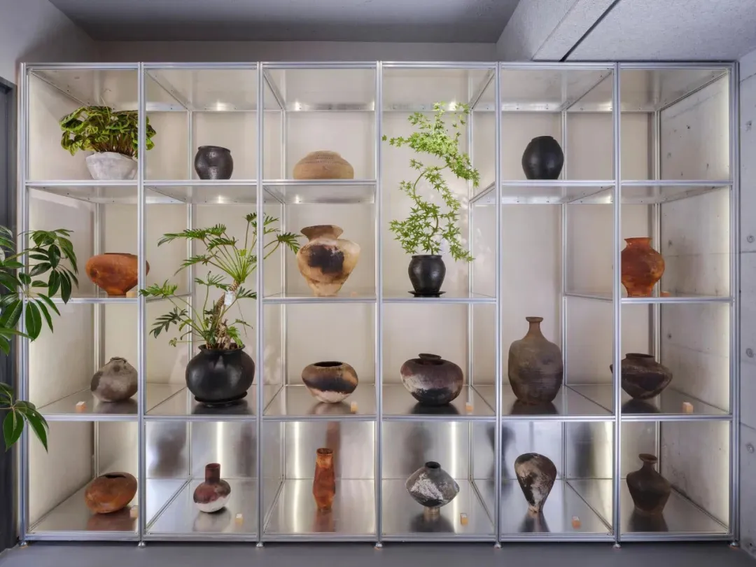 A well-lit display case showcasing various ceramic vases and plants, arranged in a modern interior design setting.
