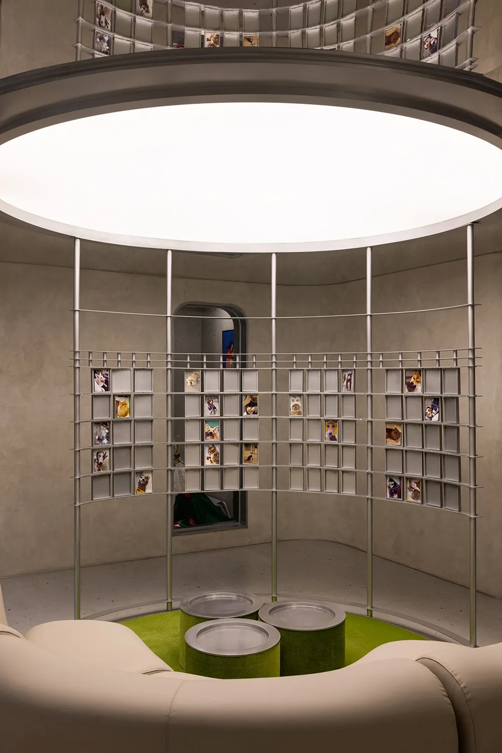 A modern interior space featuring metal frames arranged in a circular pattern, with photos of dogs displayed within the frame