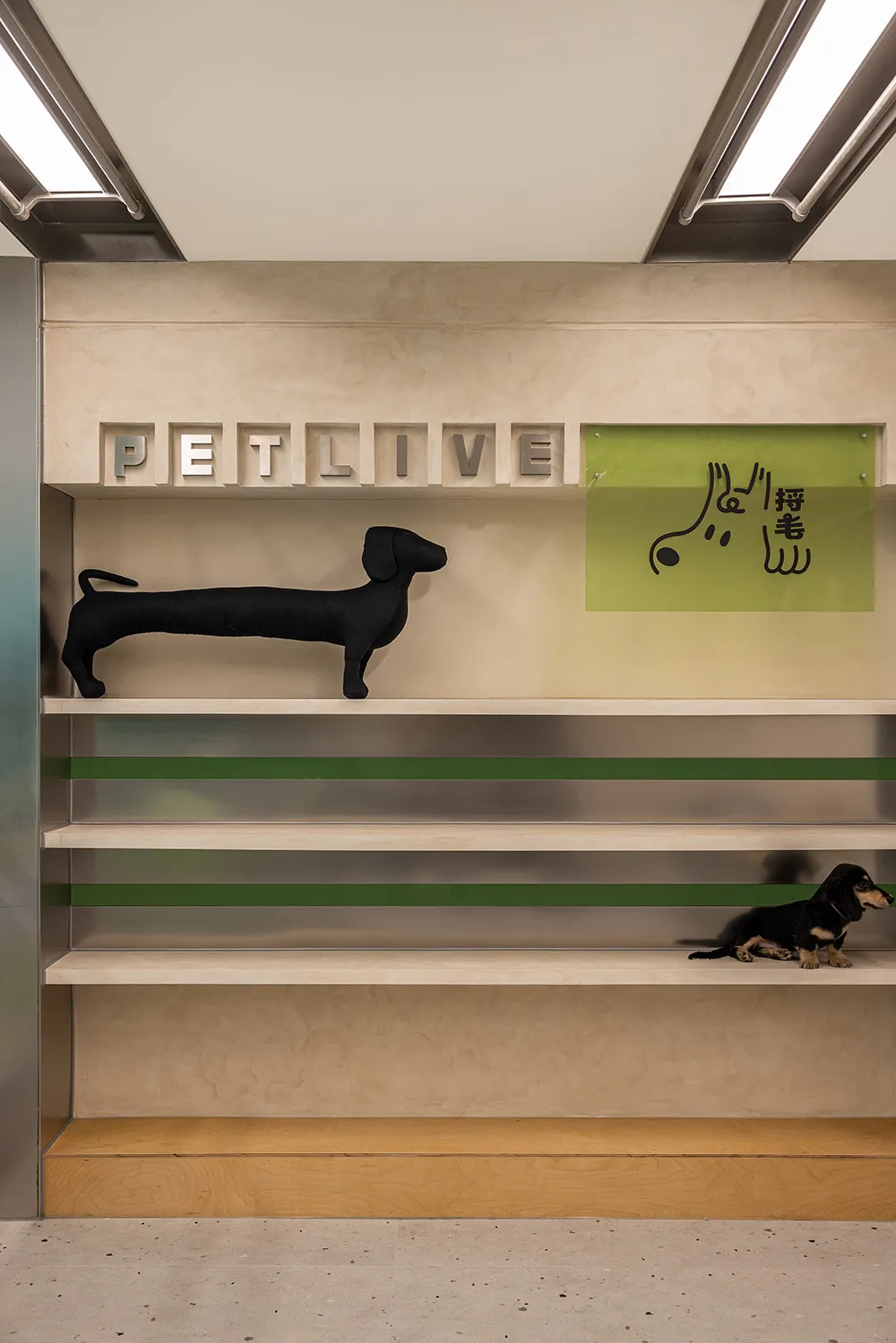 A pet shop display featuring a concrete shelf with a black dog figure and a framed sign.