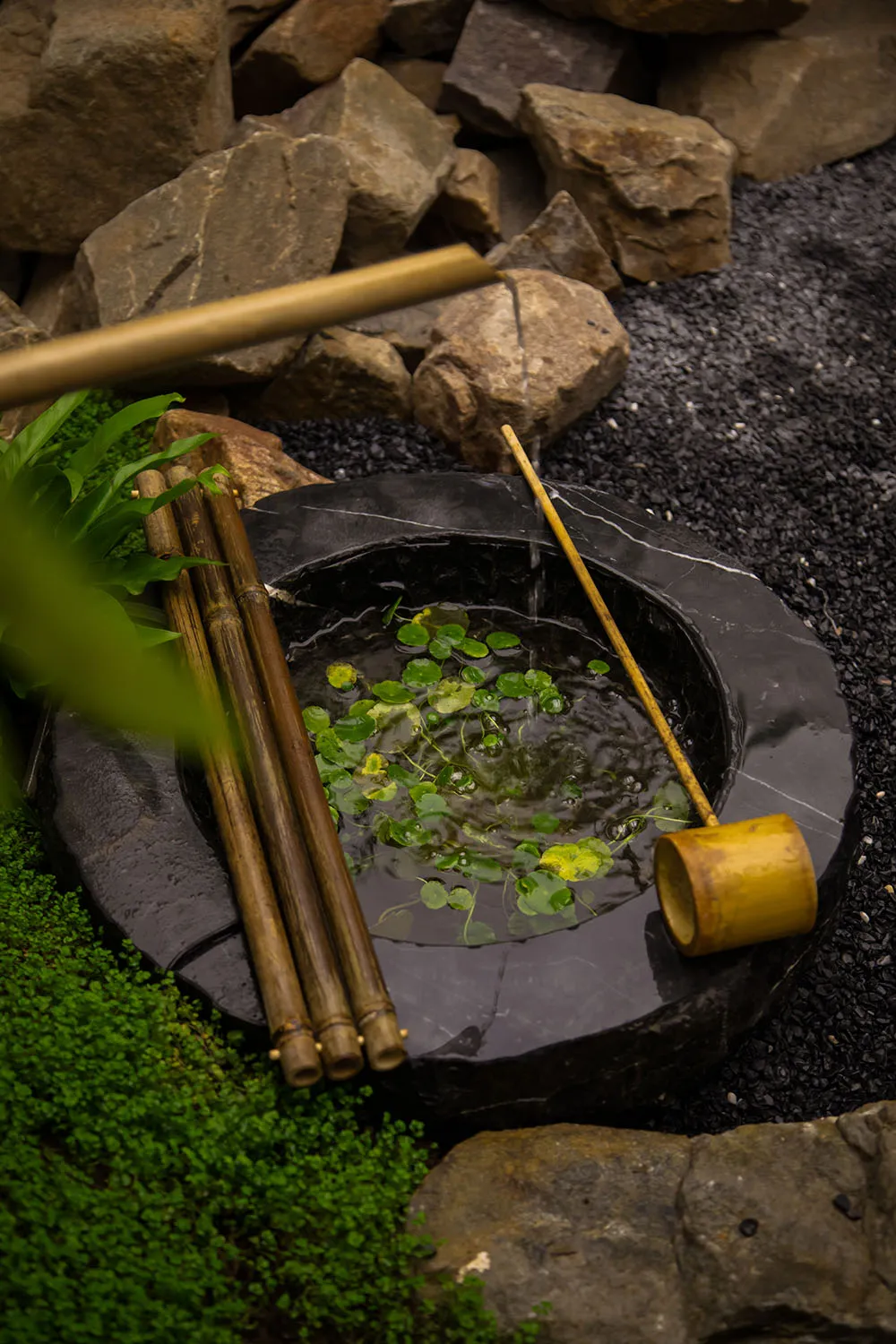 自然花園中以石頭堆疊而成的水景，搭配水生植物。