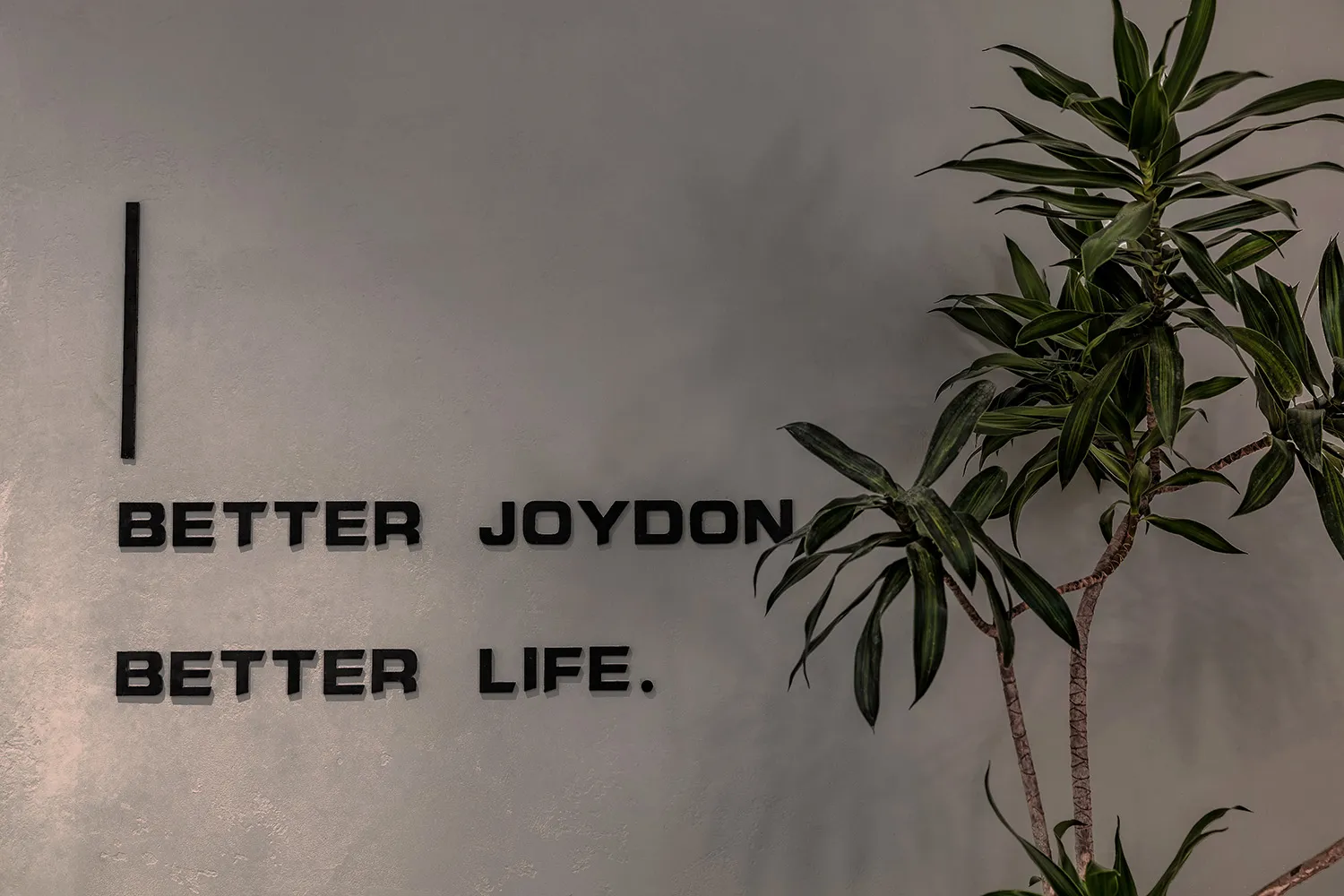 Black metal alphabet letters spelling 'better joydon better life' mounted on a textured white wall
