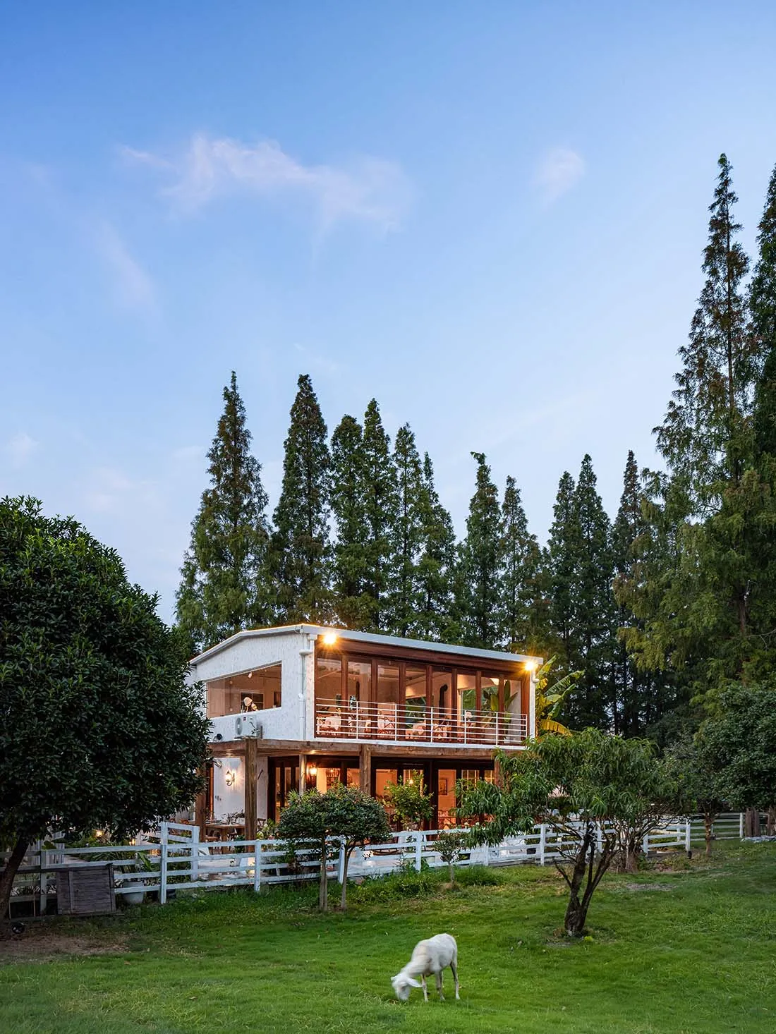 A residential farmhouse with white stucco walls, wooden accents, and large glass windows surrounded by greenery with a goat g