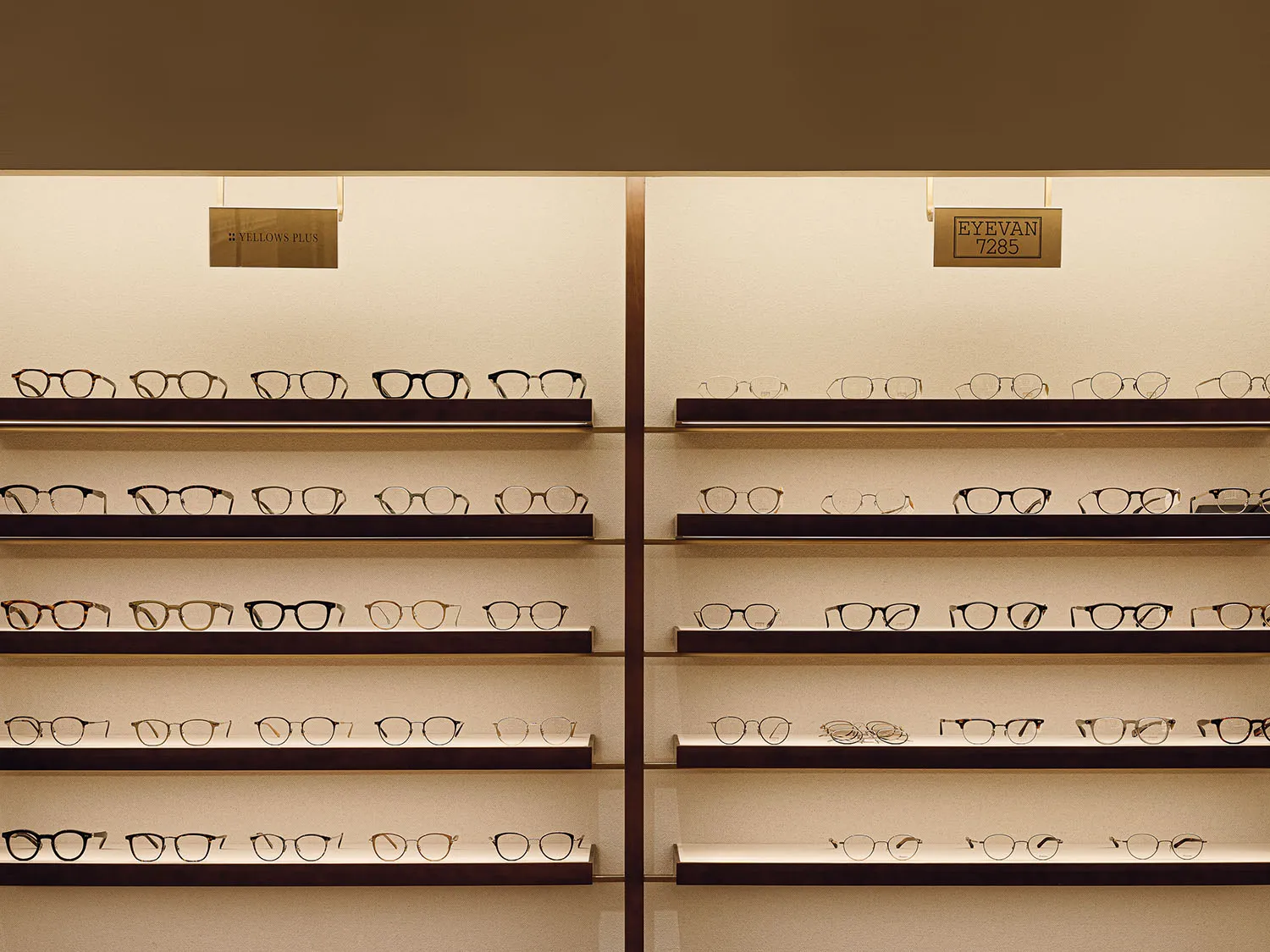 Various pairs of eyeglasses displayed on shelves in a retail store.