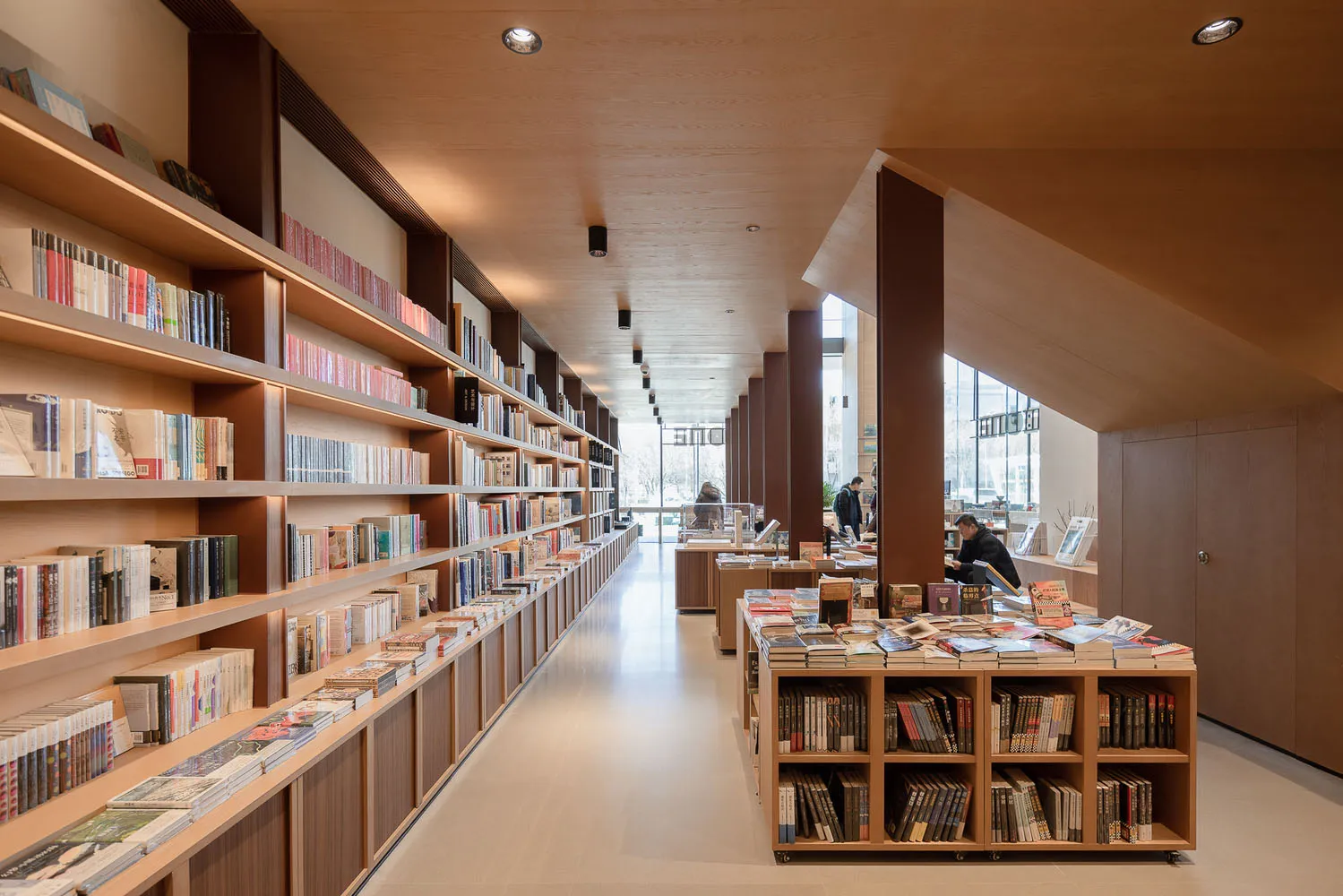 極簡現代圖書館室內,展現胡桃木與玻璃書架。