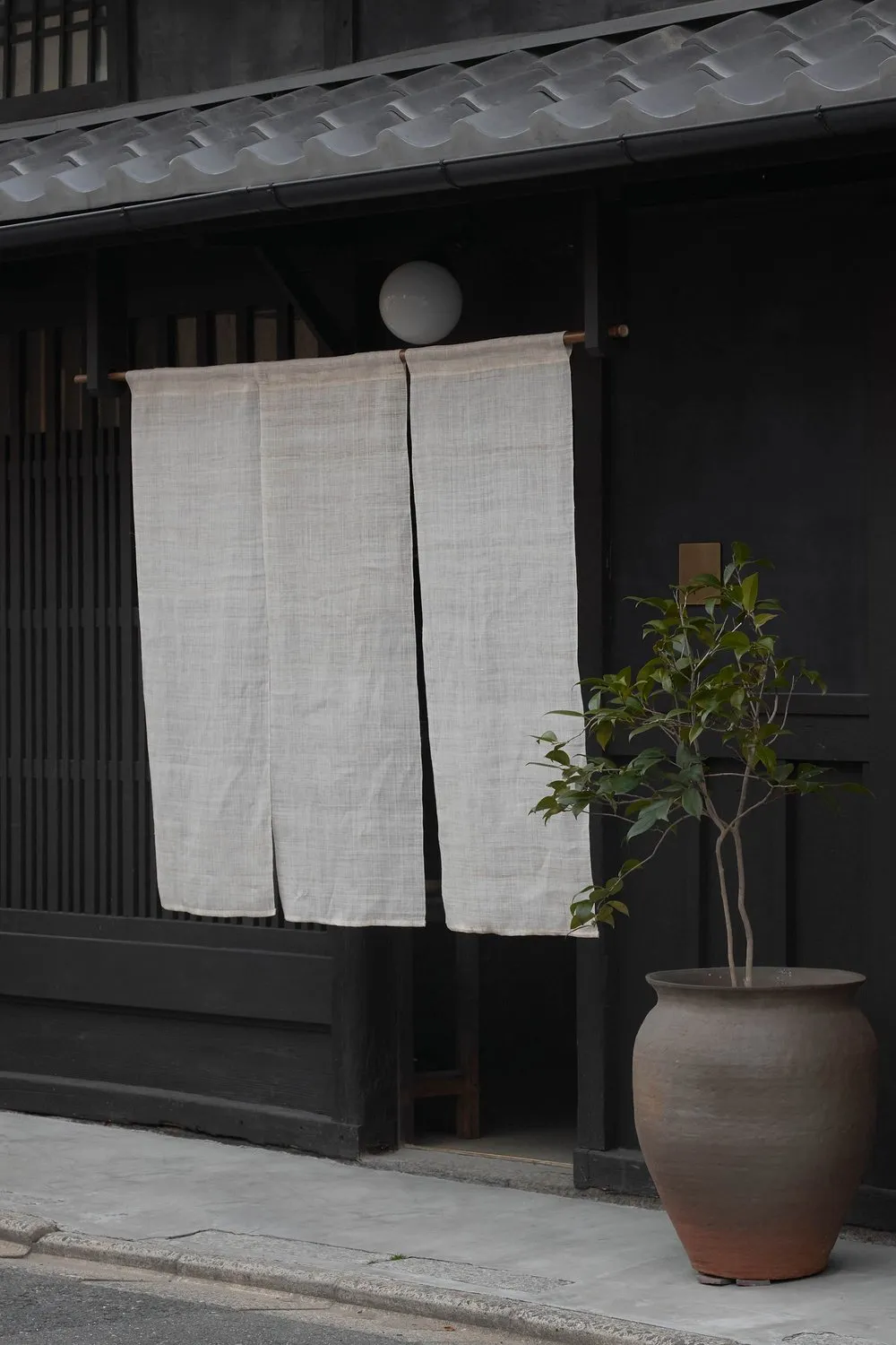A minimalist modern building facade with wooden shutters, beige and white textile curtains, and a large potted plant with gre