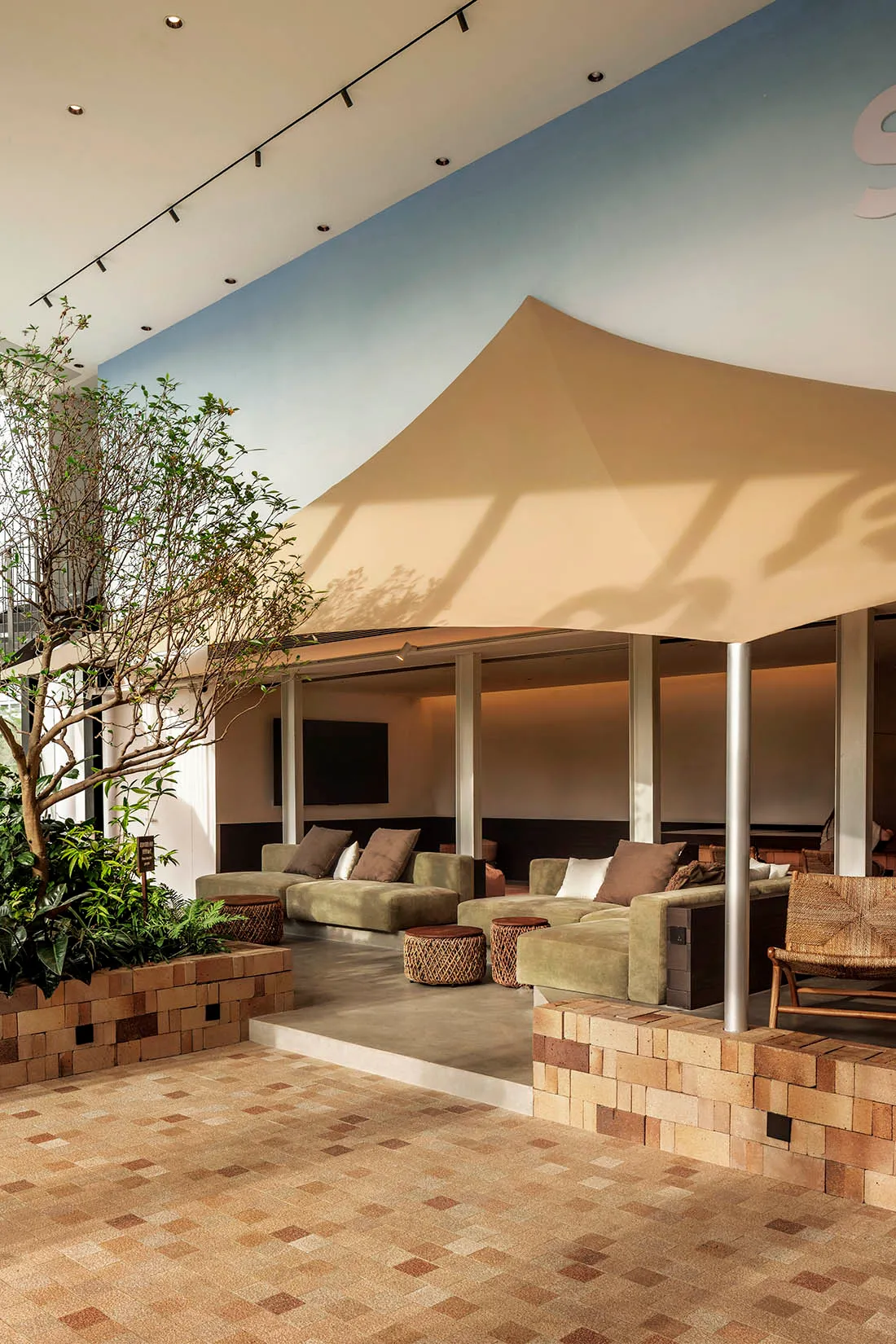 A modern interior design featuring a textured cement living room with a tree.