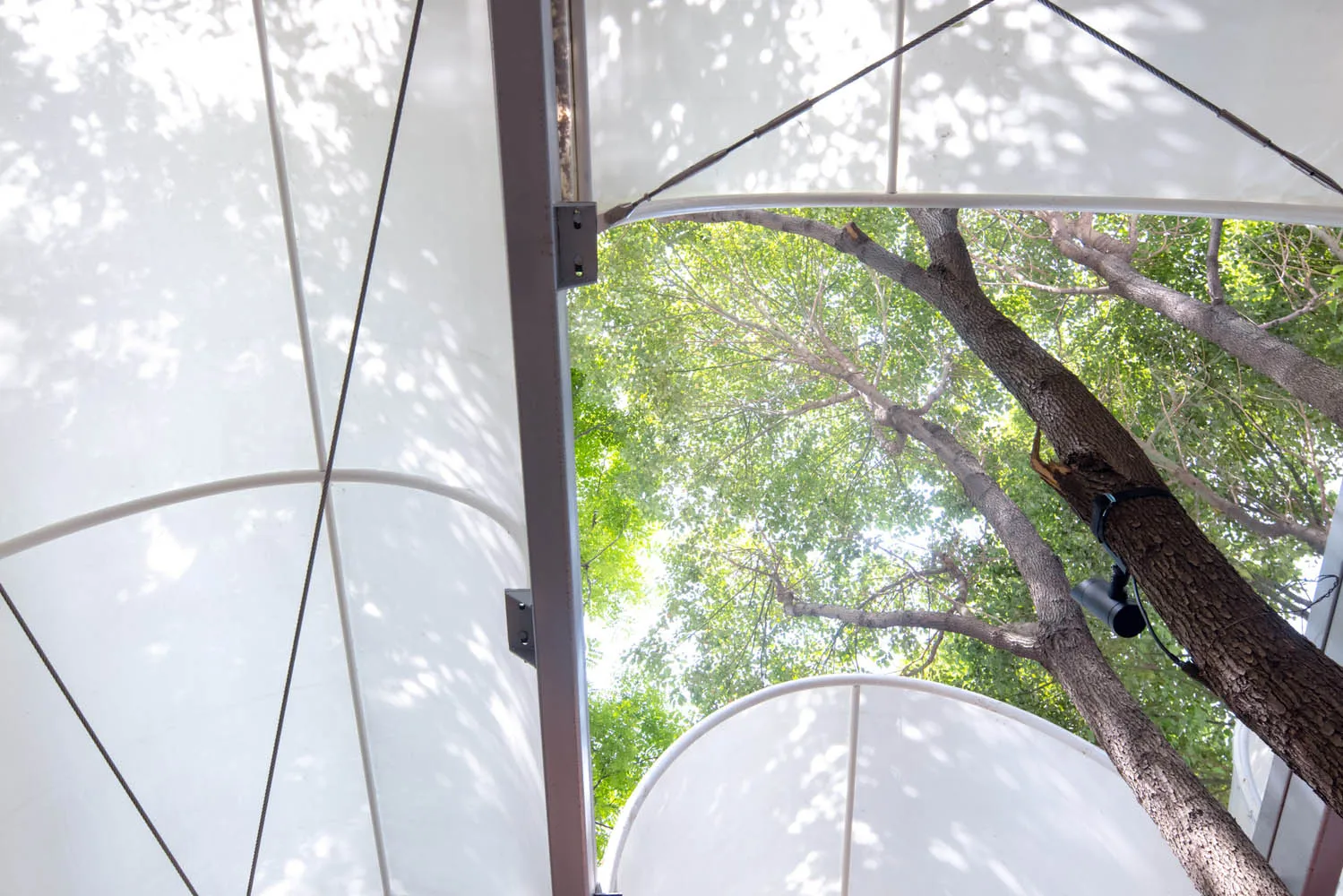 White canopy structure with a view of green trees through the translucent panels.