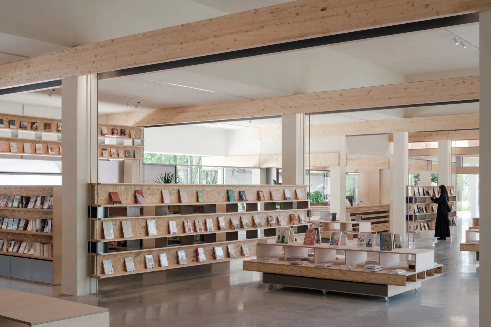 Modern library interior with wood shelves displaying books and plants.