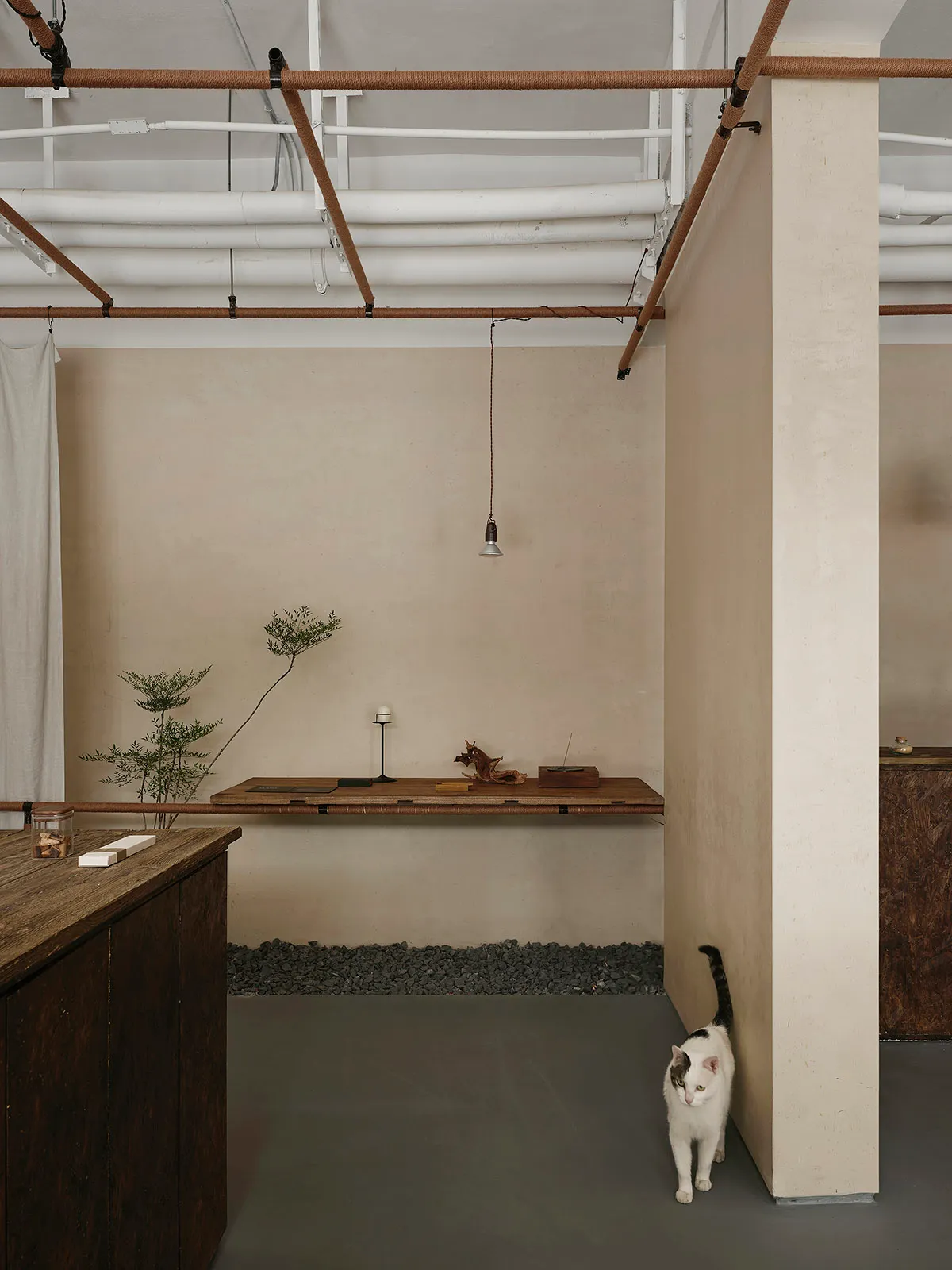 A minimalist industrial office space featuring a concrete desk, exposed pipes, and a cat