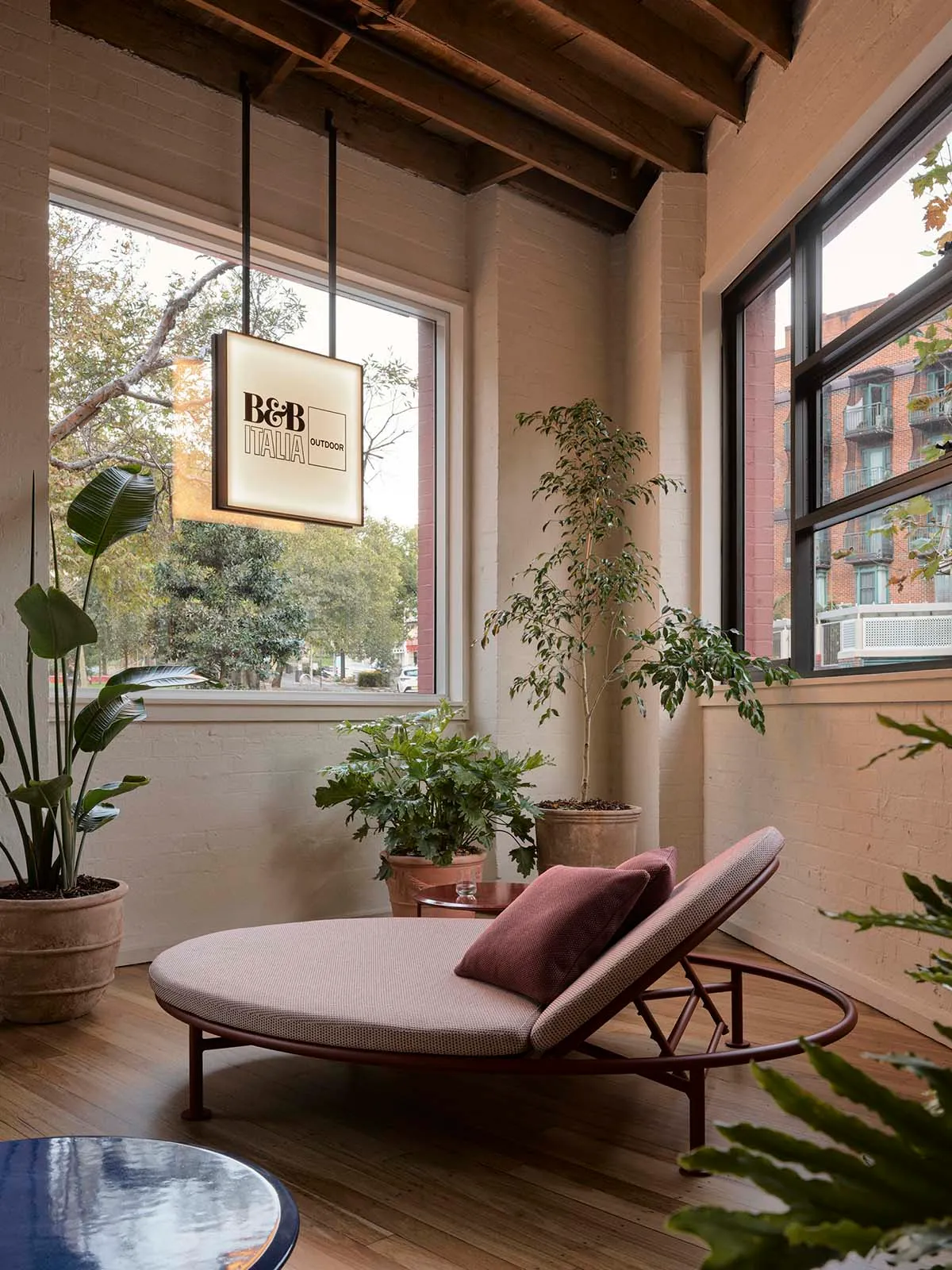 A modern interior living space with concrete flooring and various potted plants.