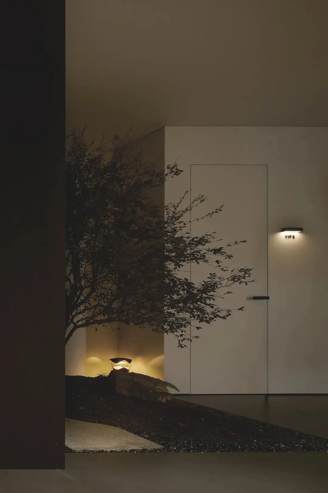 A minimalist entrance area with a concrete surface and a small tree illuminated by a lamp.