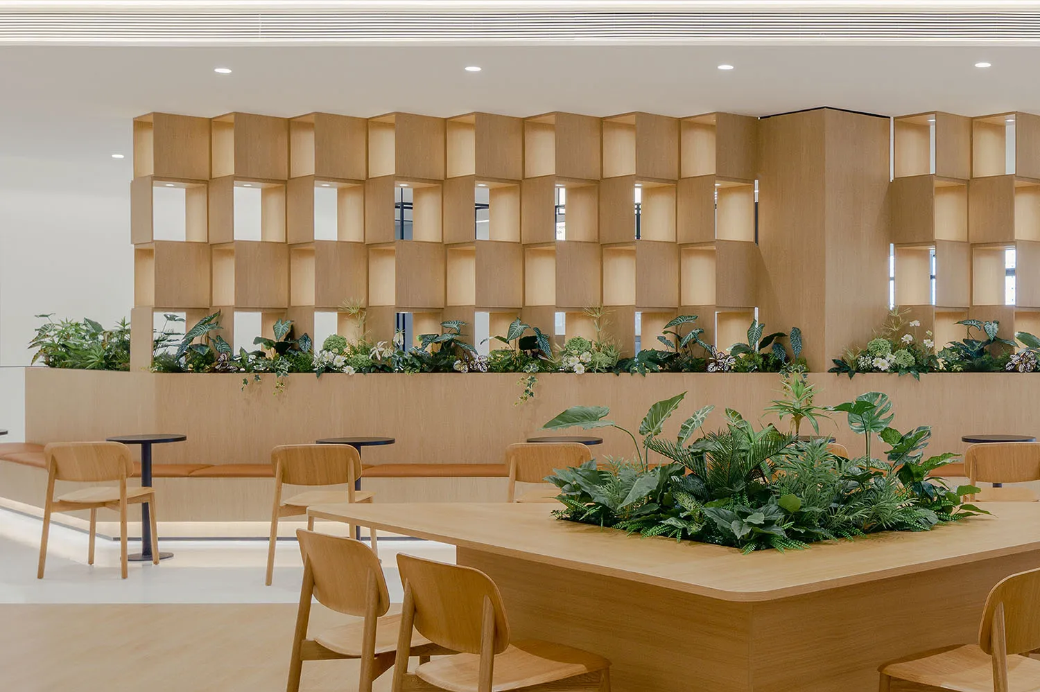 現代咖啡廳內擺設木質家具與植栽。