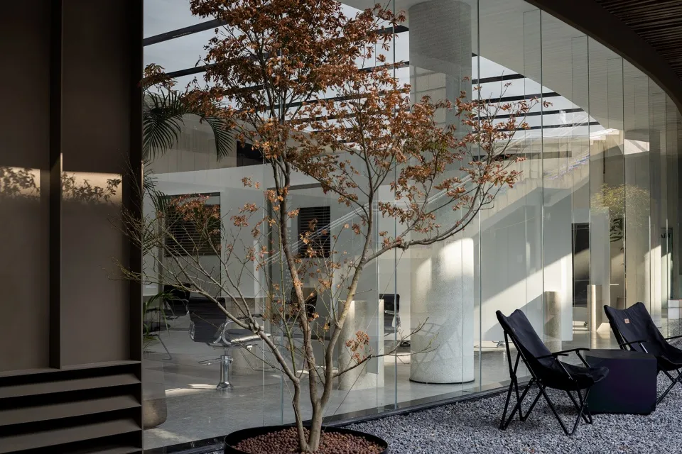 A modern office space with glass walls and a tree in a pot.