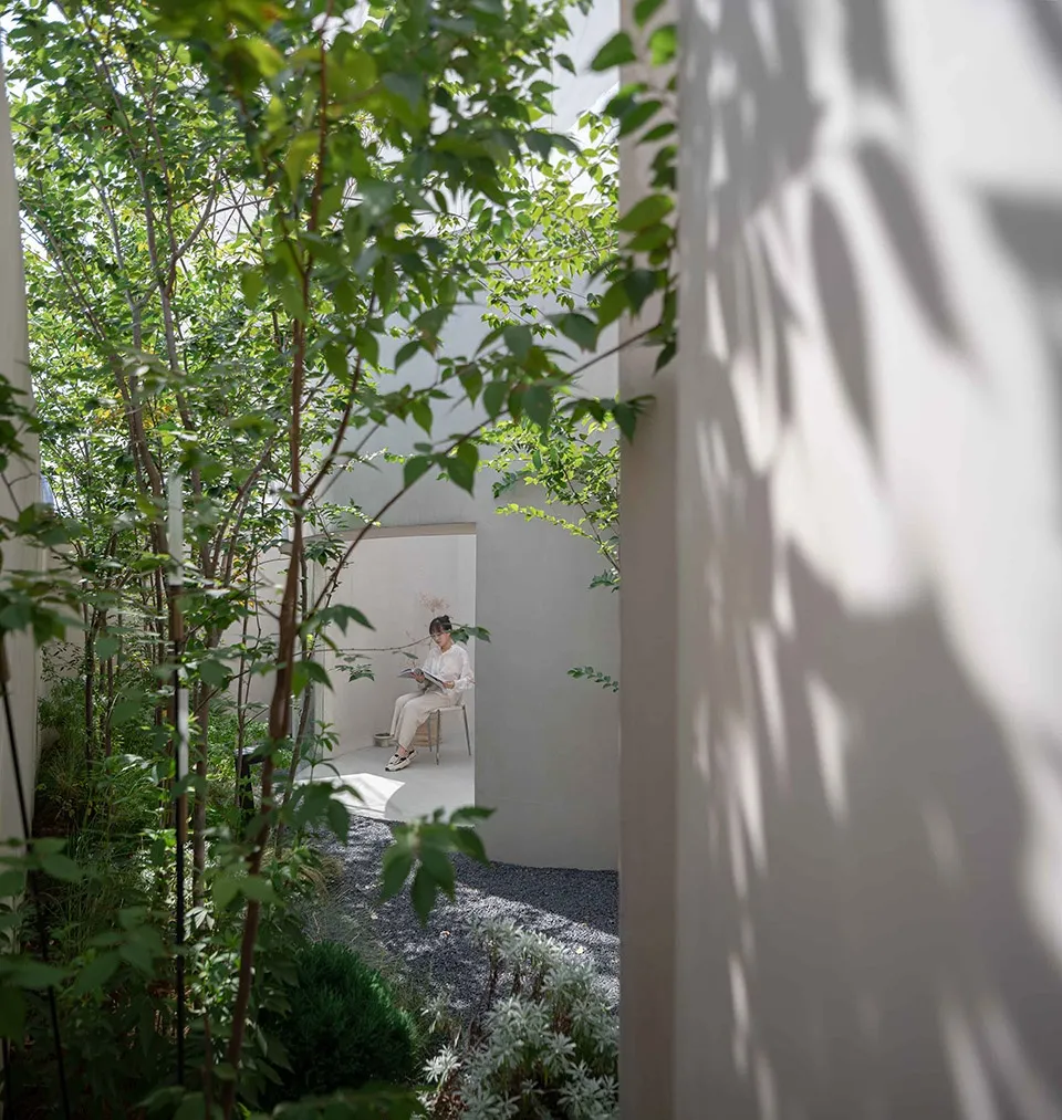 A minimalist garden featuring concrete paths, gravel, and lush foliage.