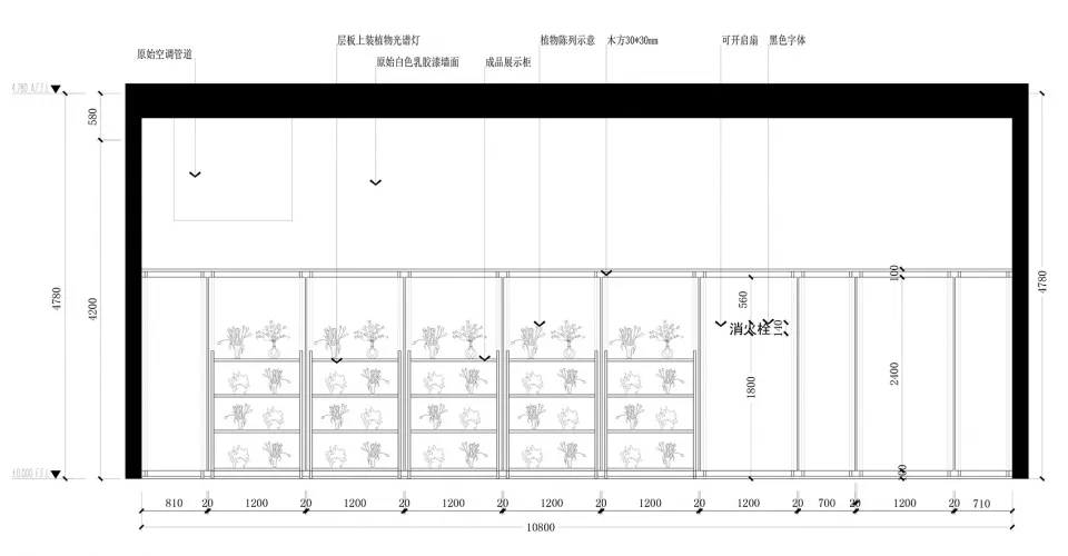 現代店面搭配木製展示架陳列植物。