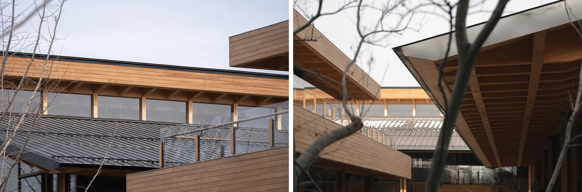 Modern building interiors featuring wooden roof structure and glass windows.
