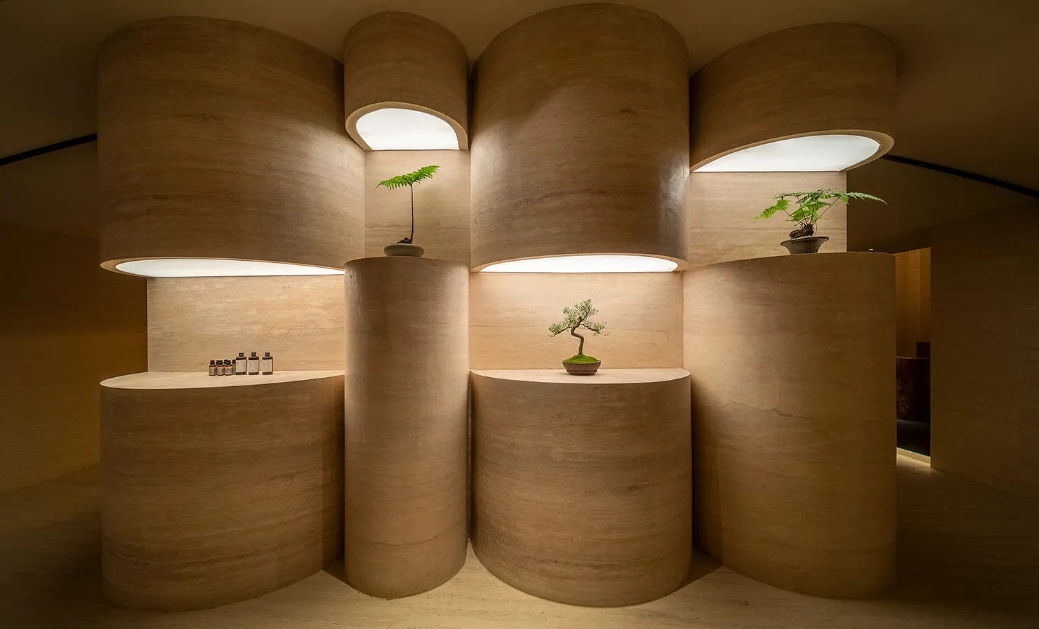 An elegant retail storefront with concrete and wooden columns, featuring bonsai plants on shelves.