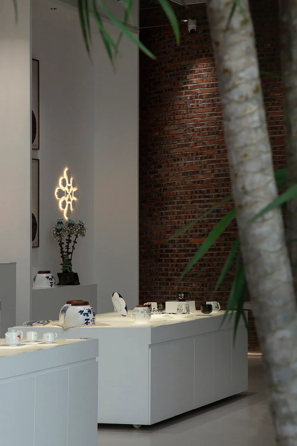 Modern retail storefront displaying ceramic ware on shelves.