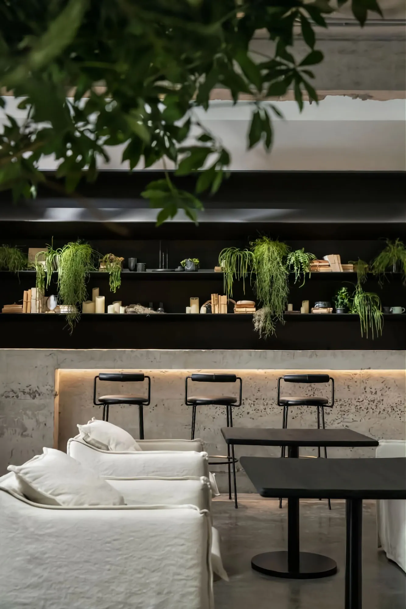 A modern cafe interior with concrete walls, metal furniture, and hanging plants.