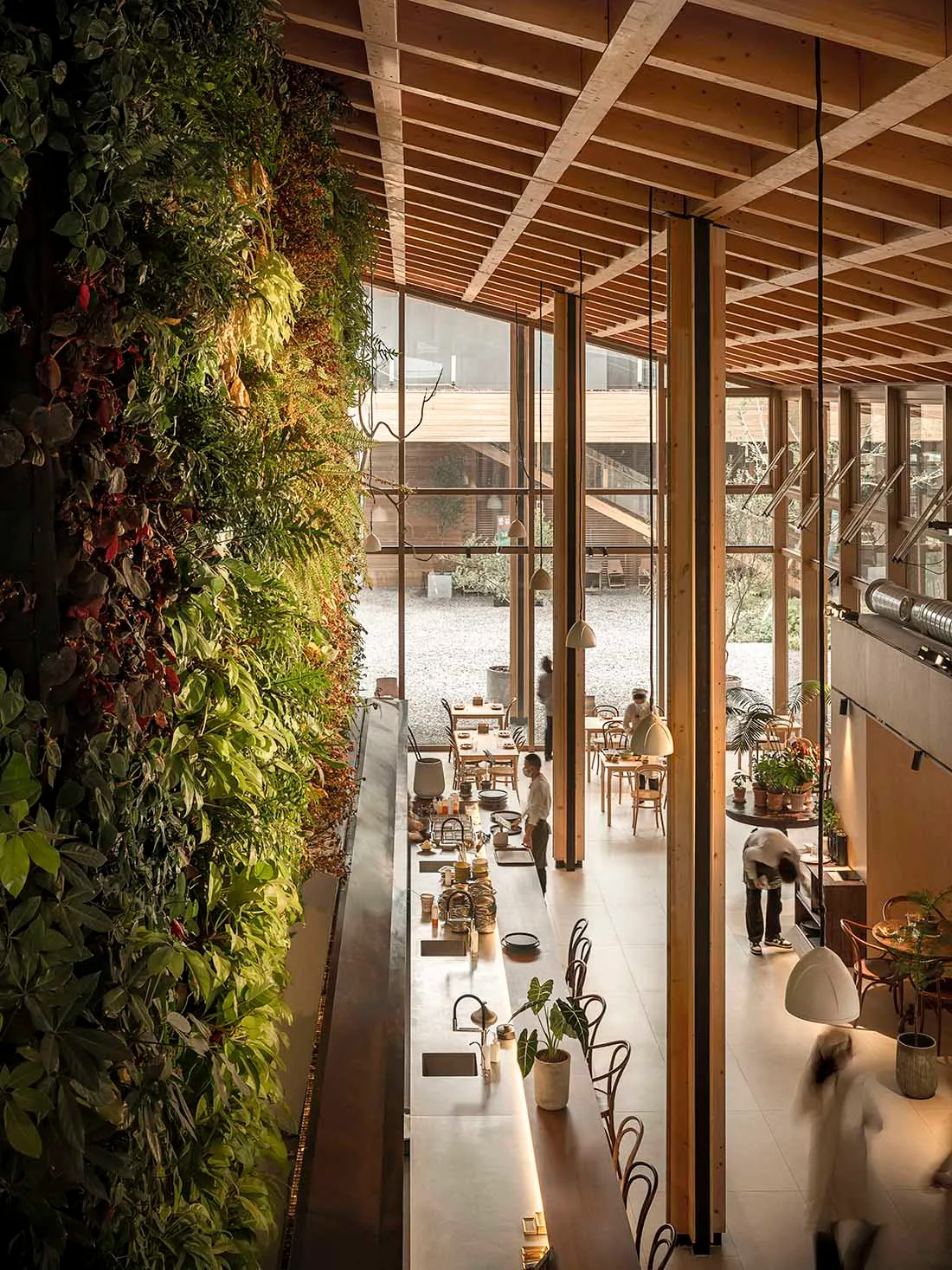 Modern industrial restaurant interior with greenery walls, wooden ceiling beams, and glass windows allowing natural light.