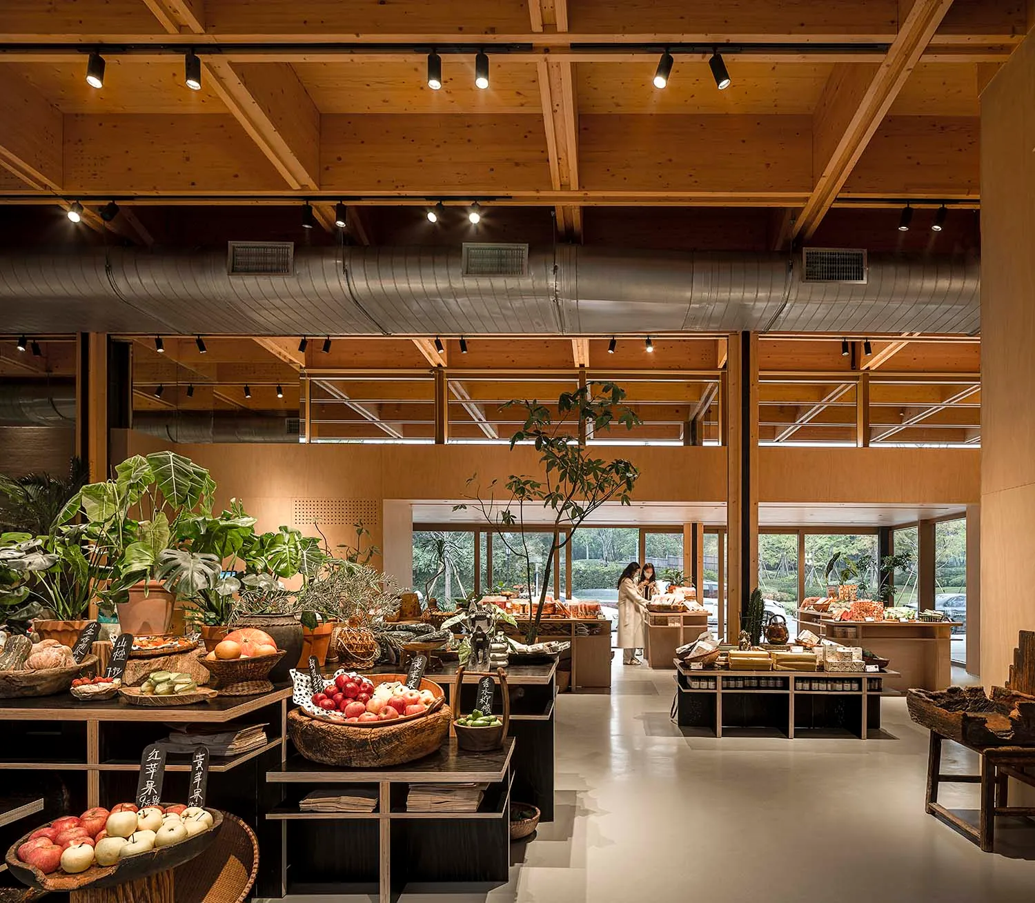 Modern retail store featuring sustainable materials and eco-friendly design