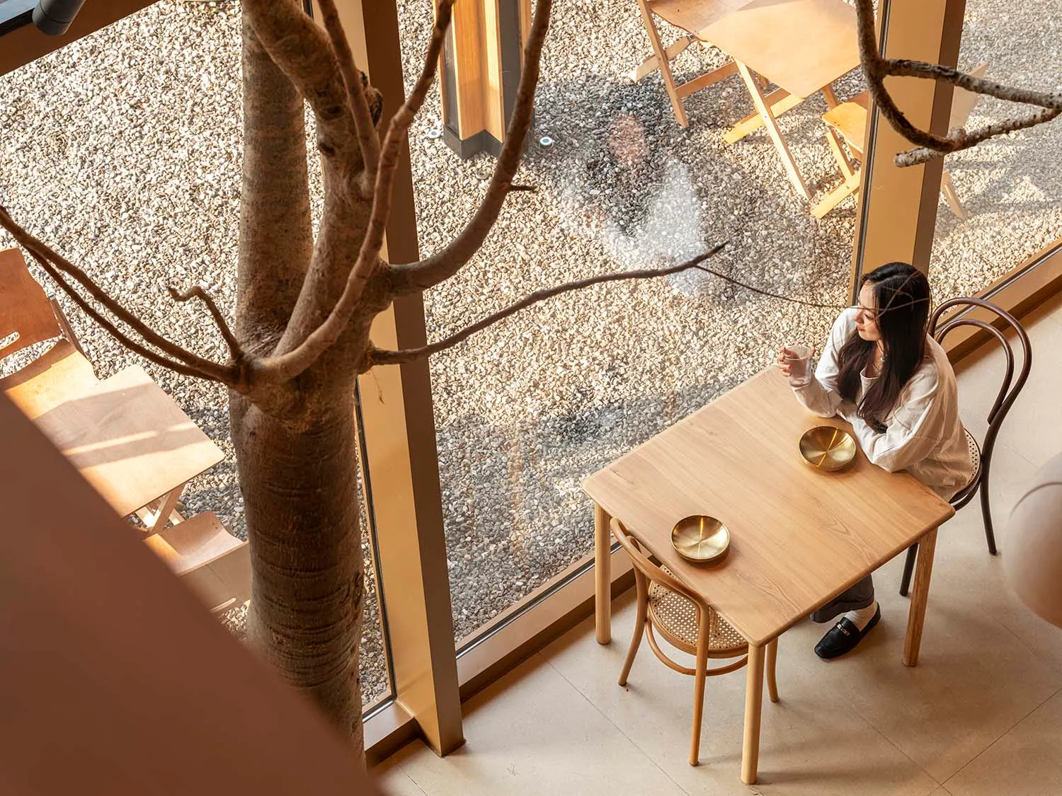 A modern coffee shop interior with a tree, wooden table and chairs, and stone flooring.