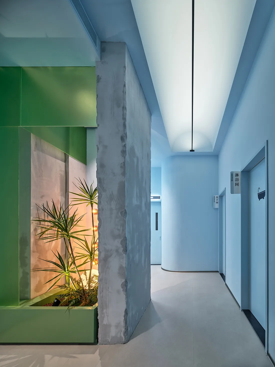 Modern interior corridor with concrete walls, green plant, and blue lighting.